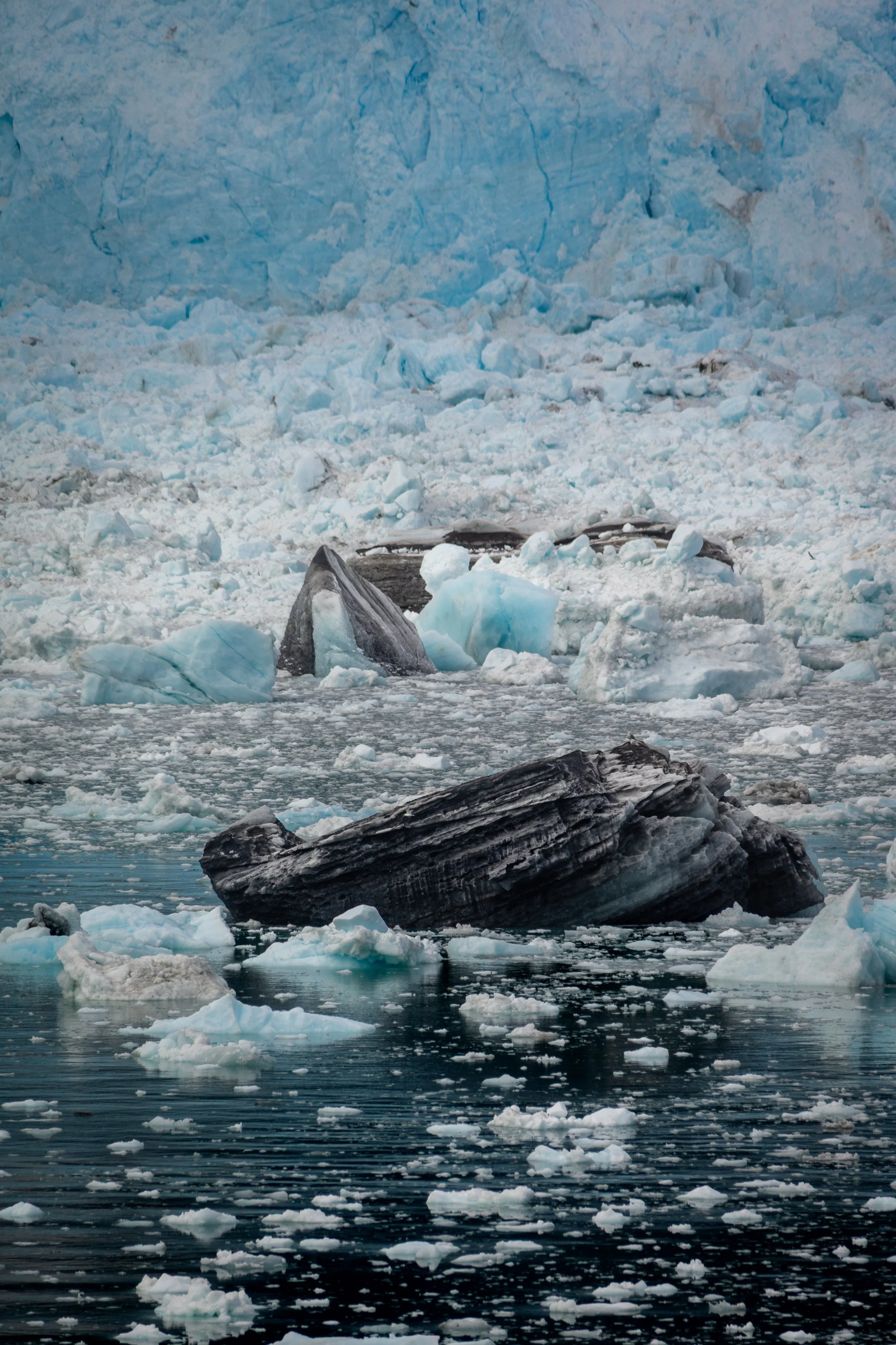 Alaska-glacier-3-2.jpg