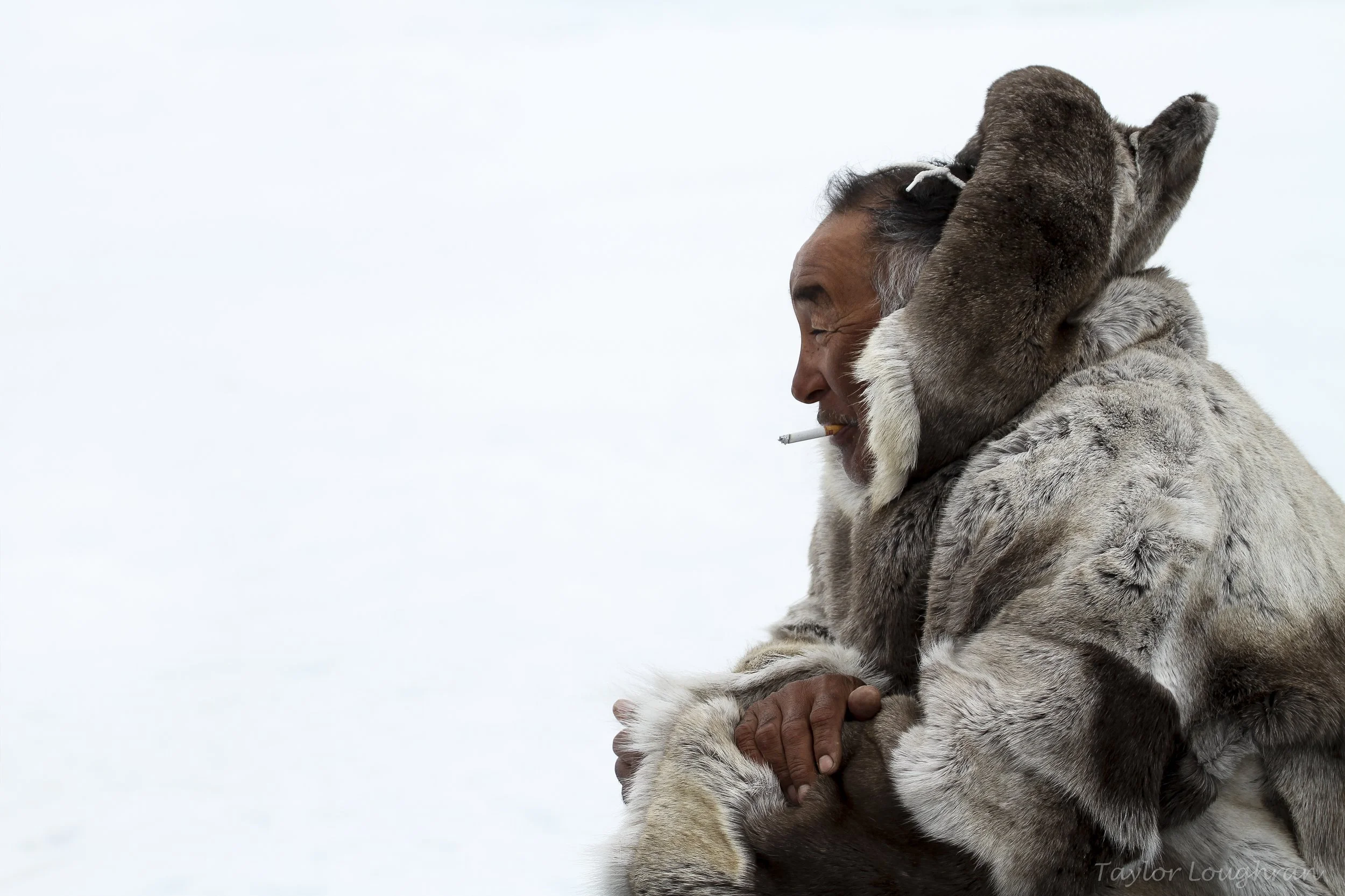 baffin_2010-2.jpg