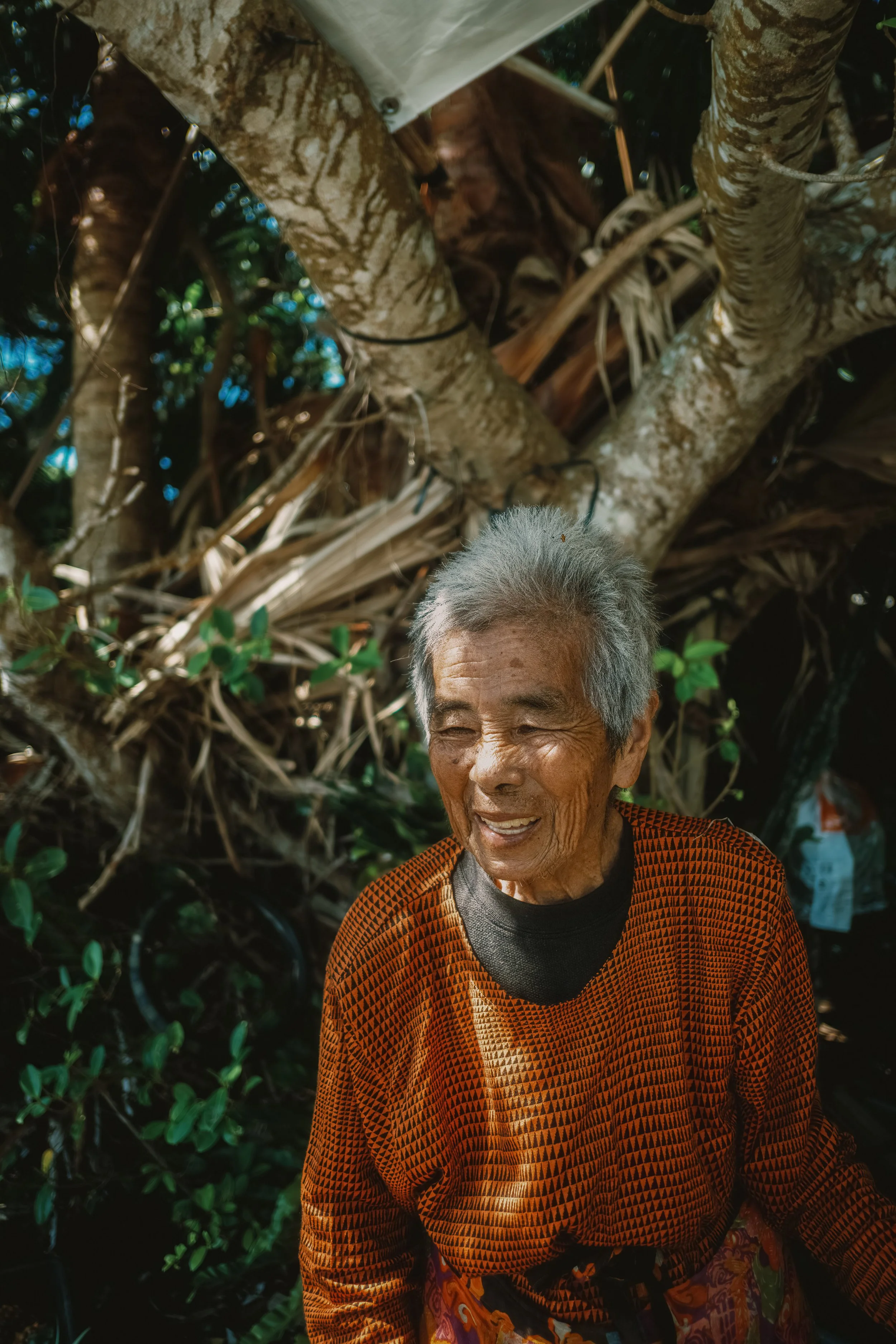 Ishigaki-Japan'26-2.jpg