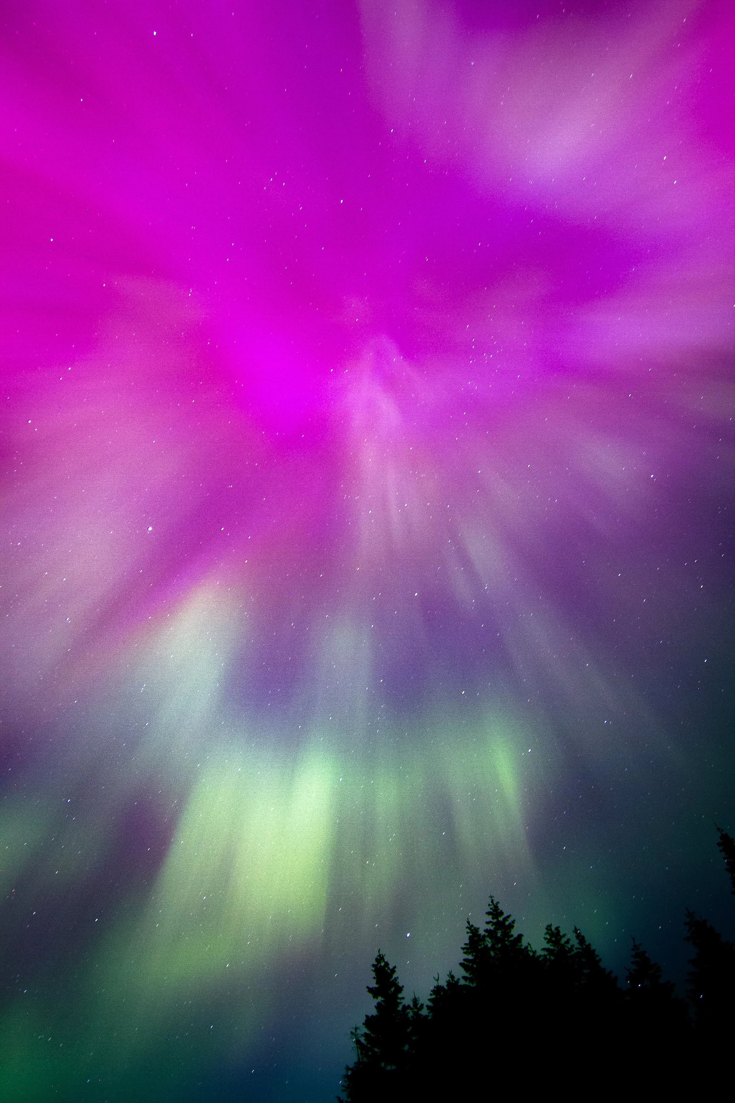 Northern Lights-06.jpg