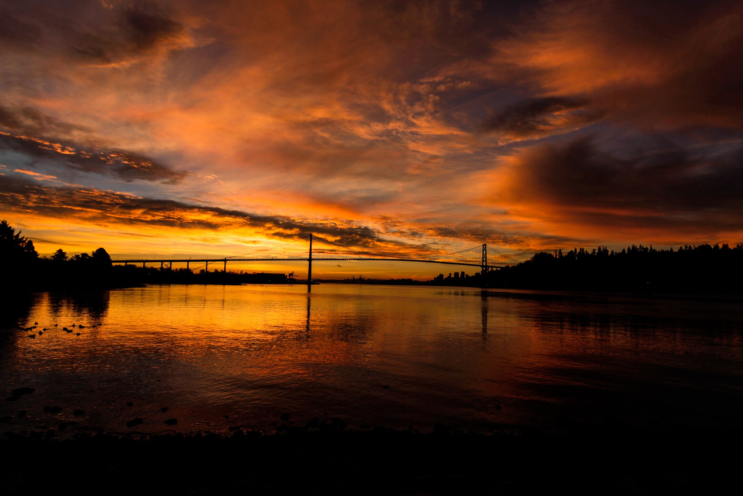 lions gate sunrise.jpg
