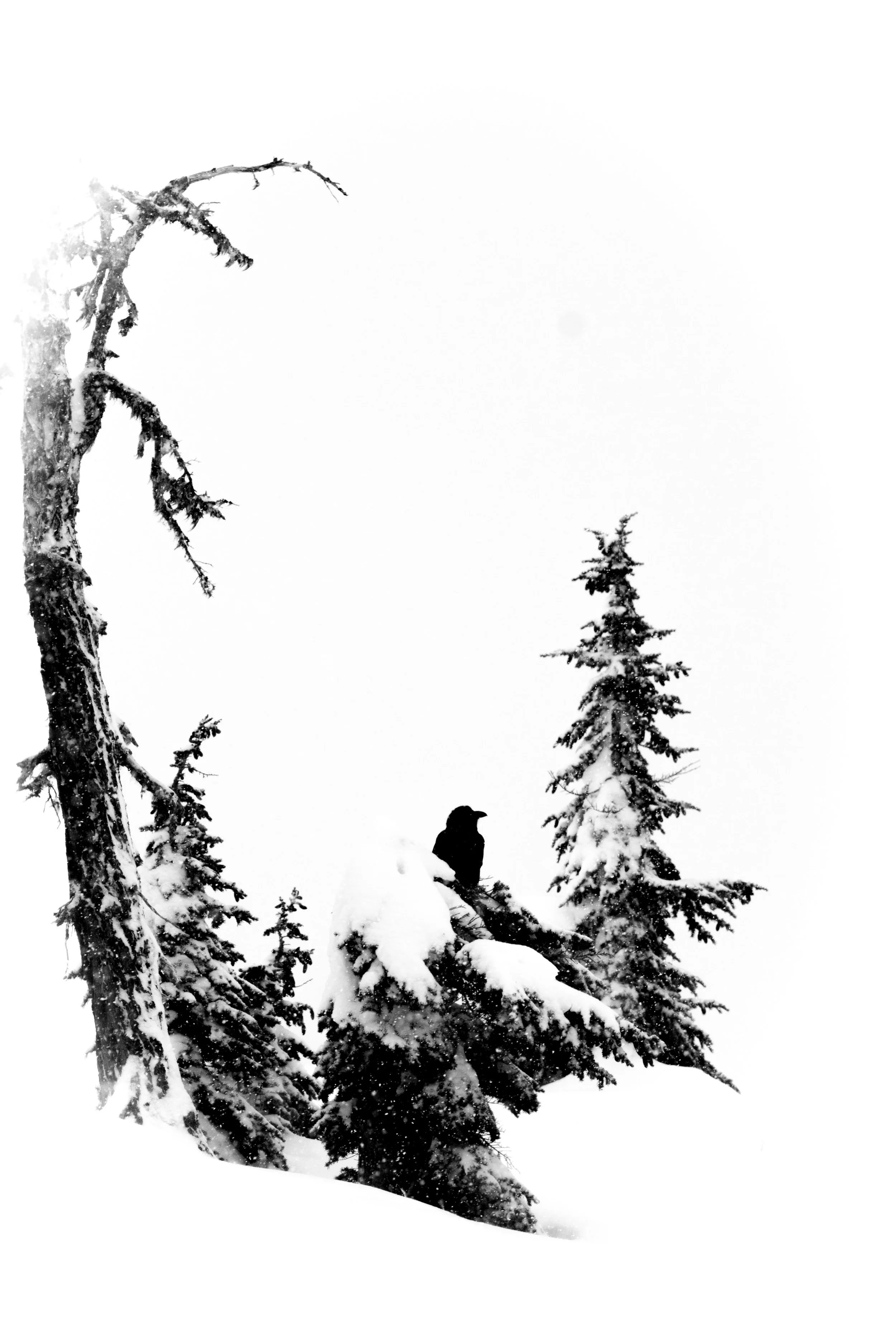 sledding_1-2.jpg