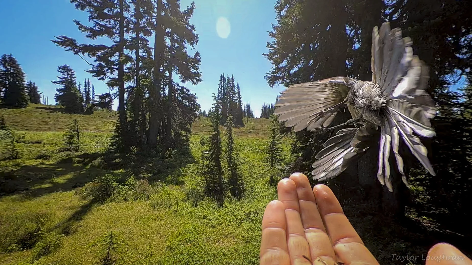 gopro_blacktusk-2.jpg