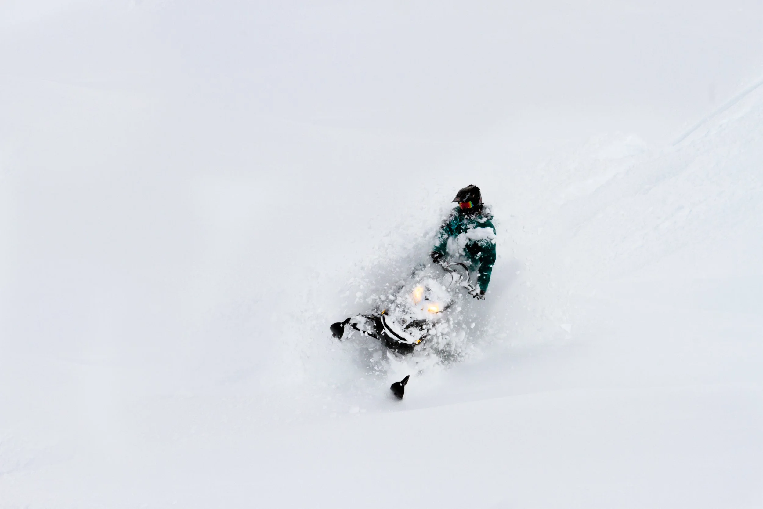 sledding_raven-2.jpg
