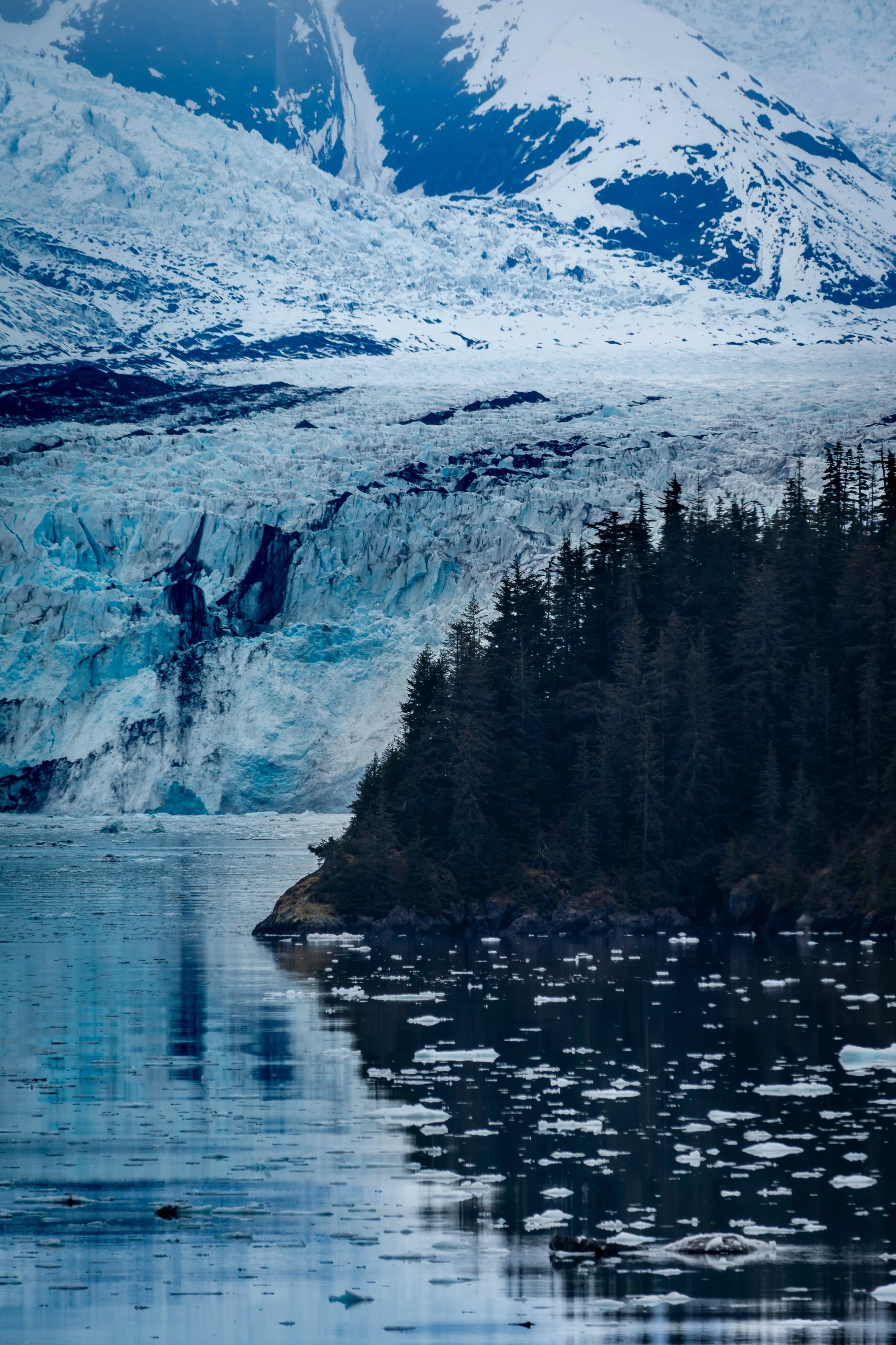 Alaska-college_fjord-2.jpg