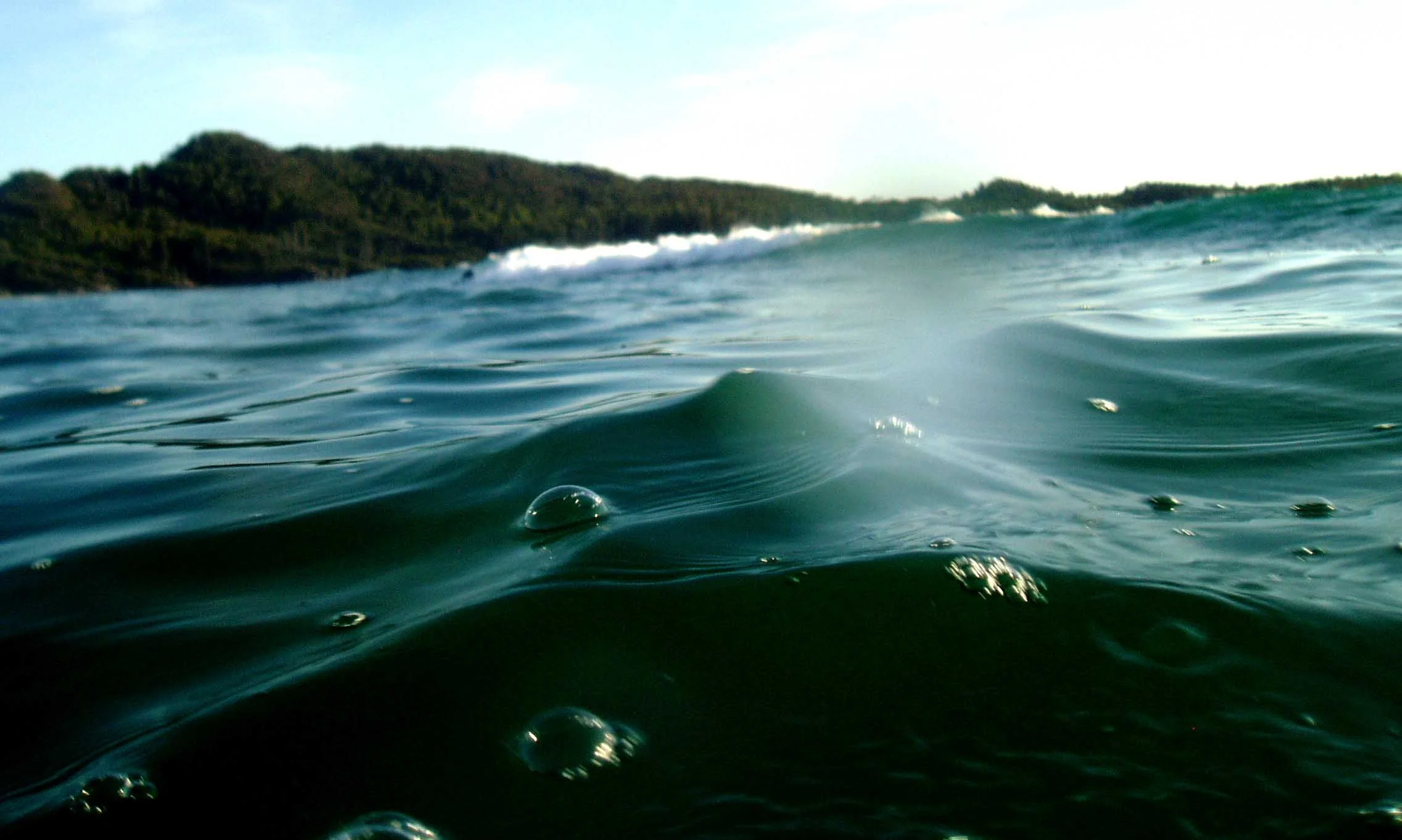 P1010121.JPG