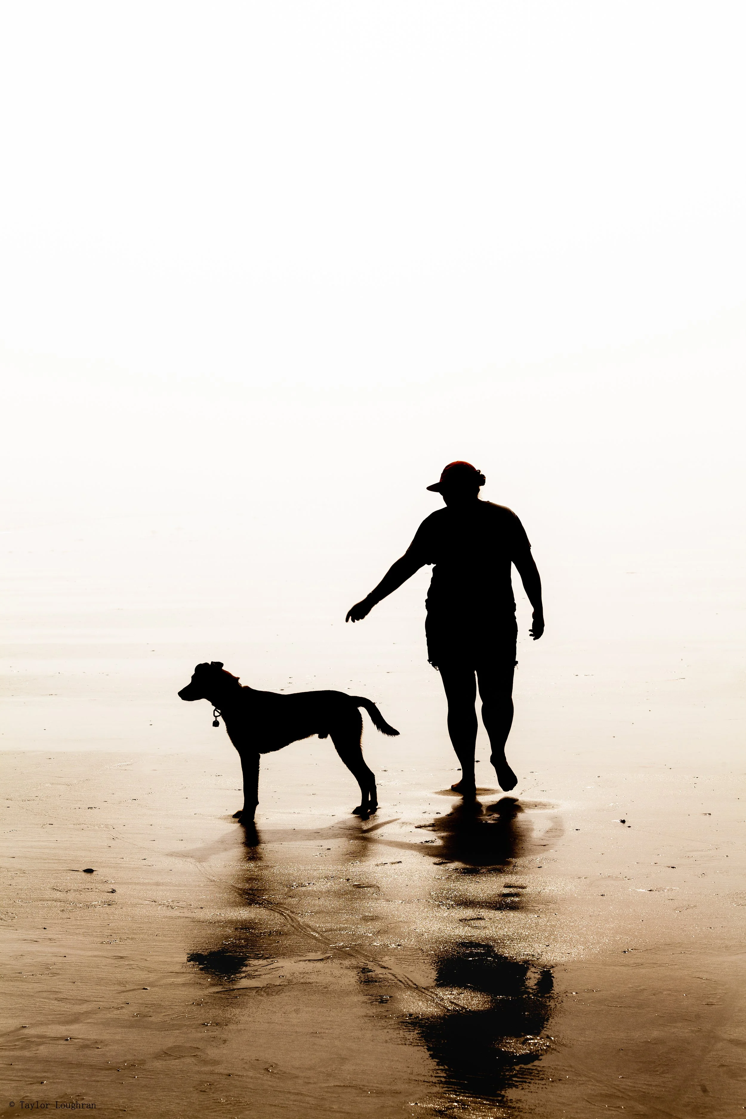 Frankie_fog_tofino_lauren.jpg