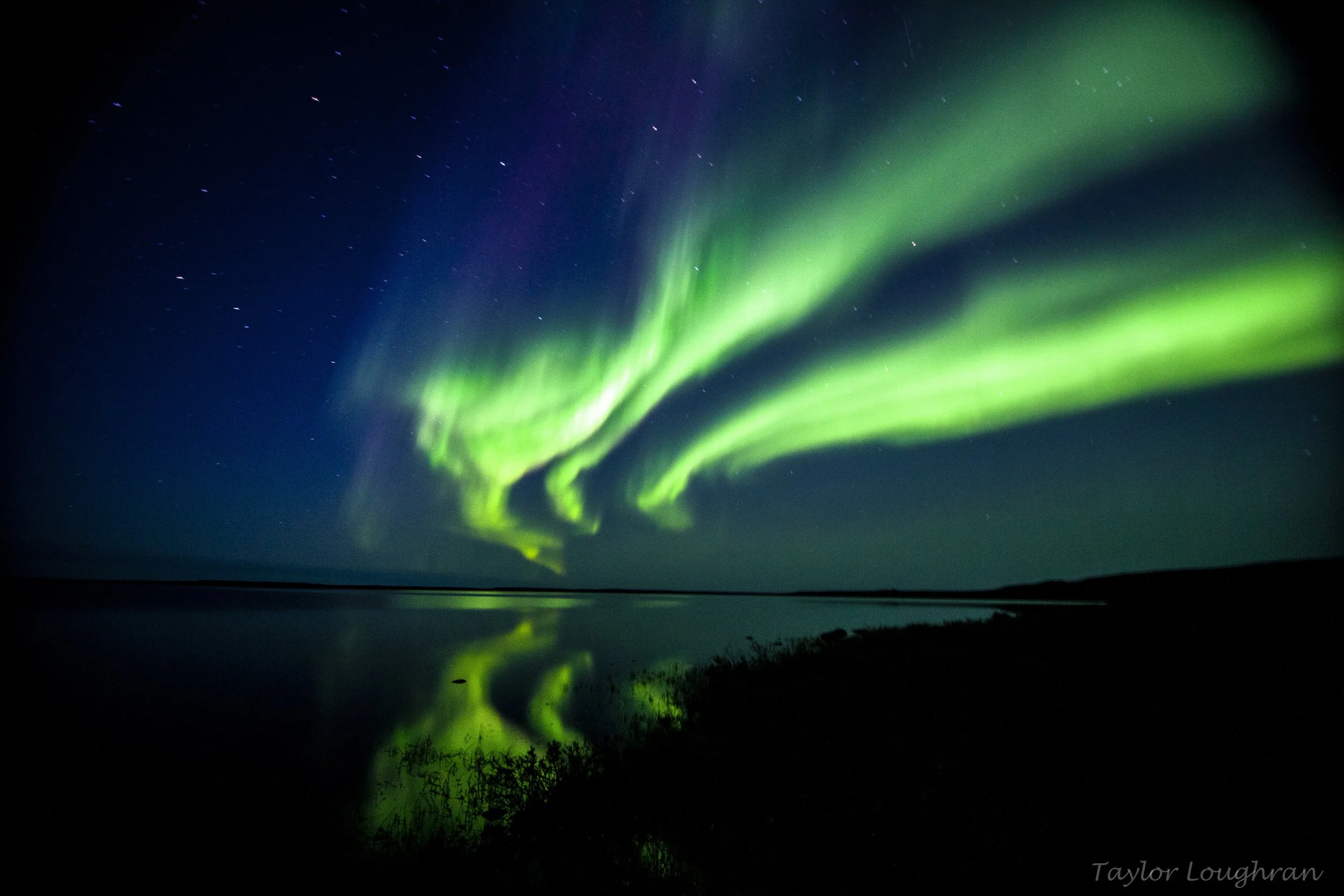 northernlights copy.jpeg