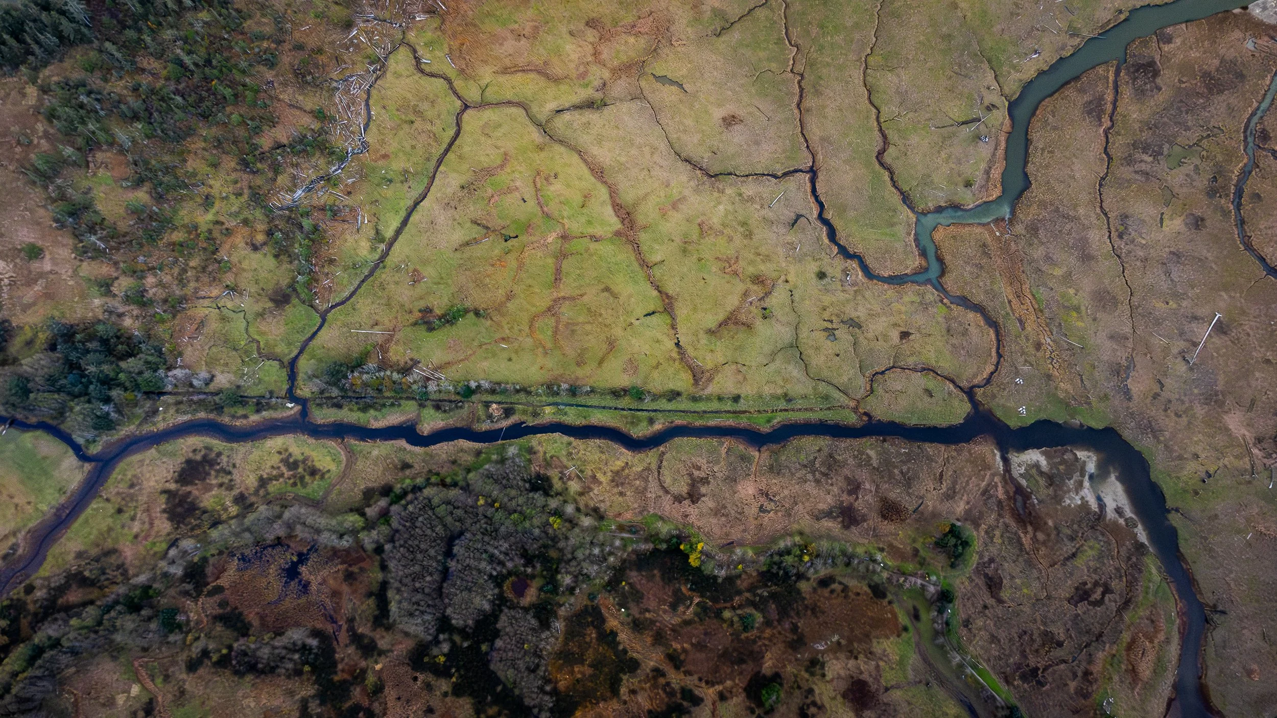 Drone-01.jpg
