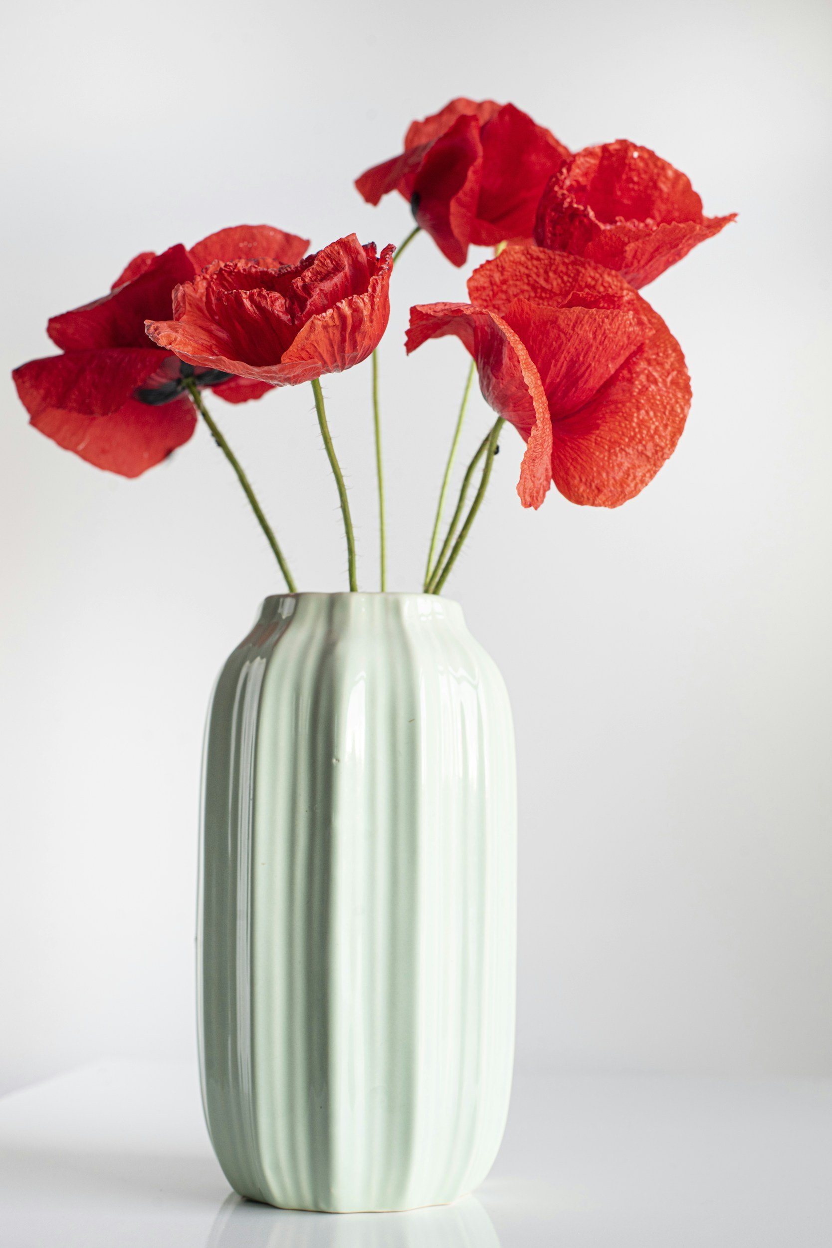 Medspa in Loveland, CO, 80537 | Consultation Near Me