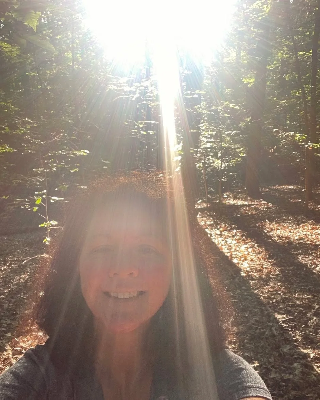Good morning sunshine 💛☀️