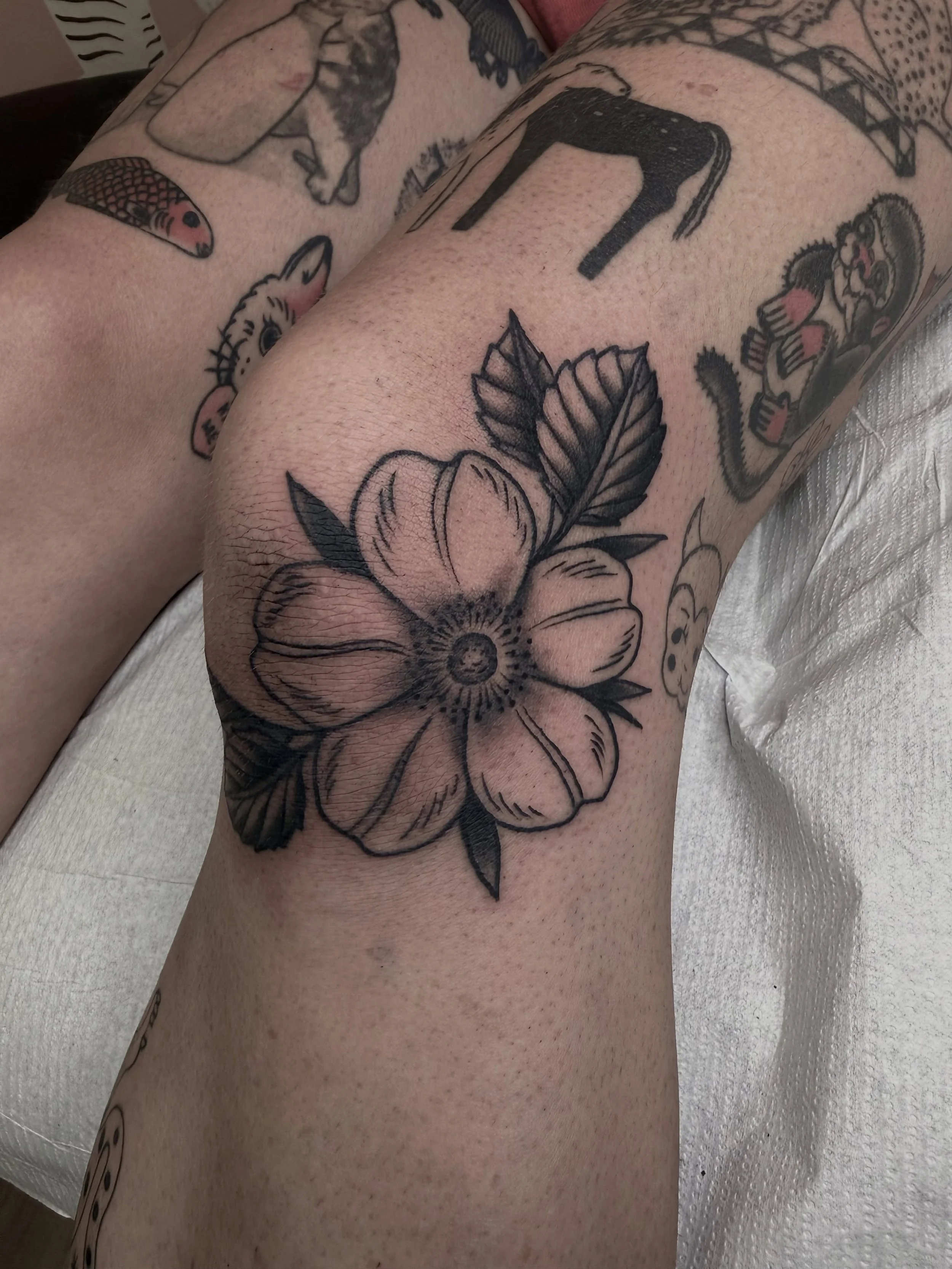 Wild rose for Chloe&rsquo;s knee! Always so honoured to be adding to your amazing collection of tattoos! 💕🫶