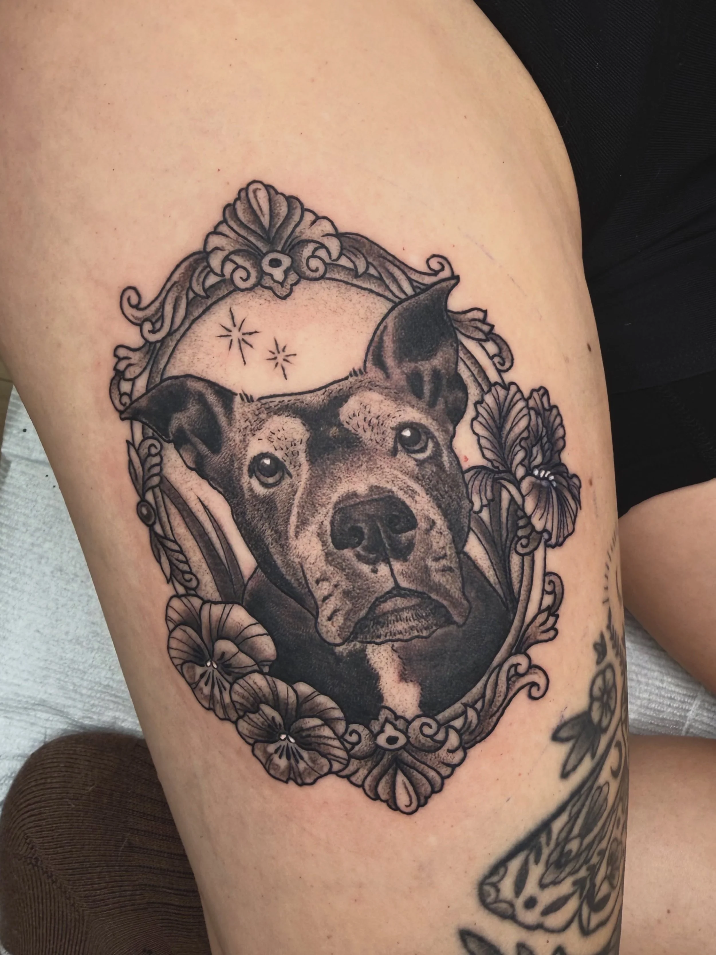 Absolutely honoured to make this portrait in memory of sweet Maia ✨💕 thank you so much Denise for your trust, lots of love to you 🫶
