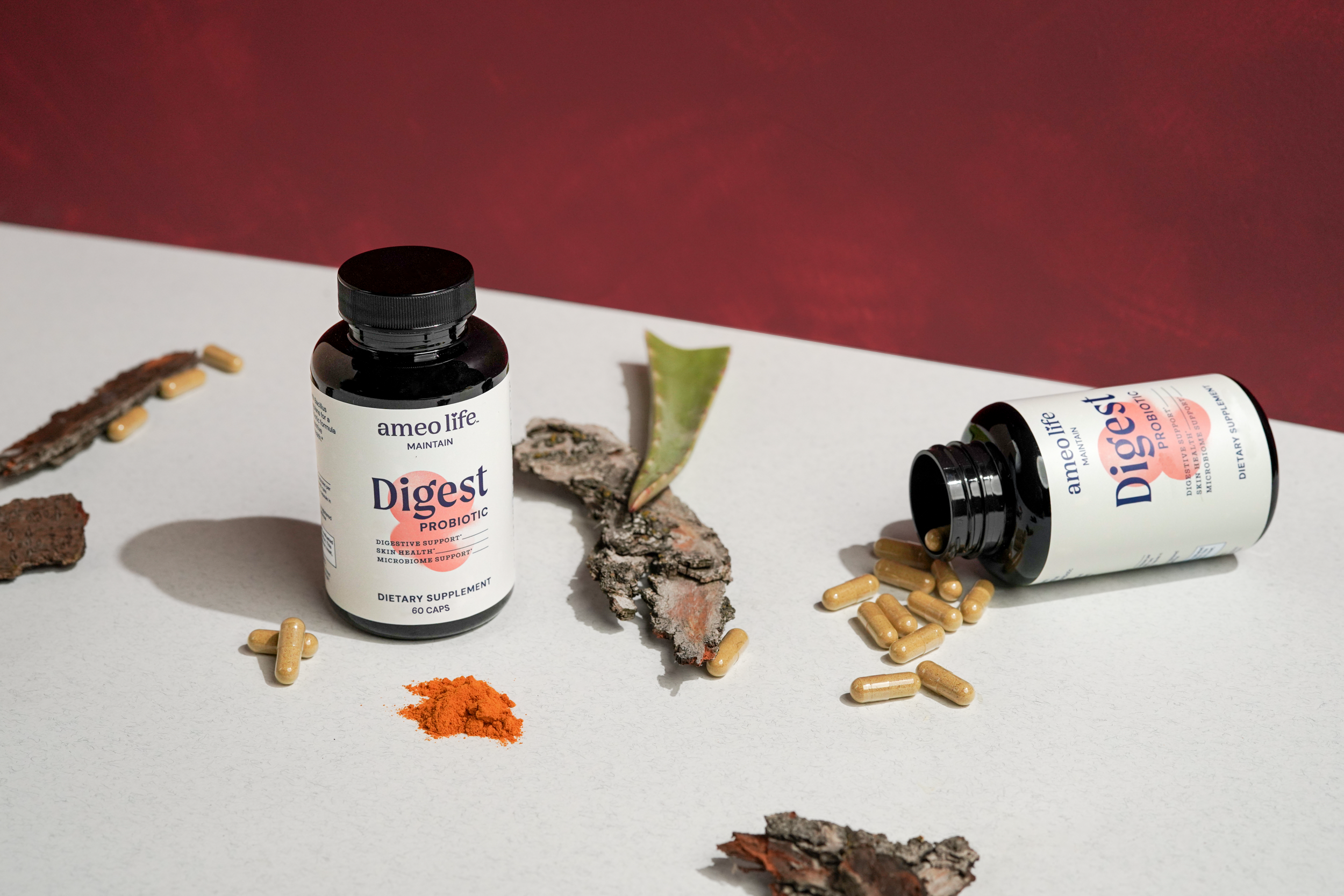 Digest_StillLife4.png