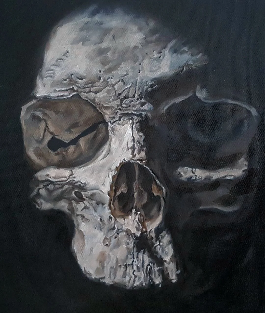 Painting of a human skull with dark and light shading on a black background.