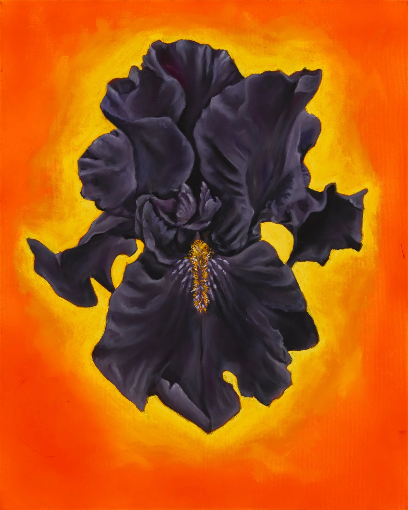 Black Iris