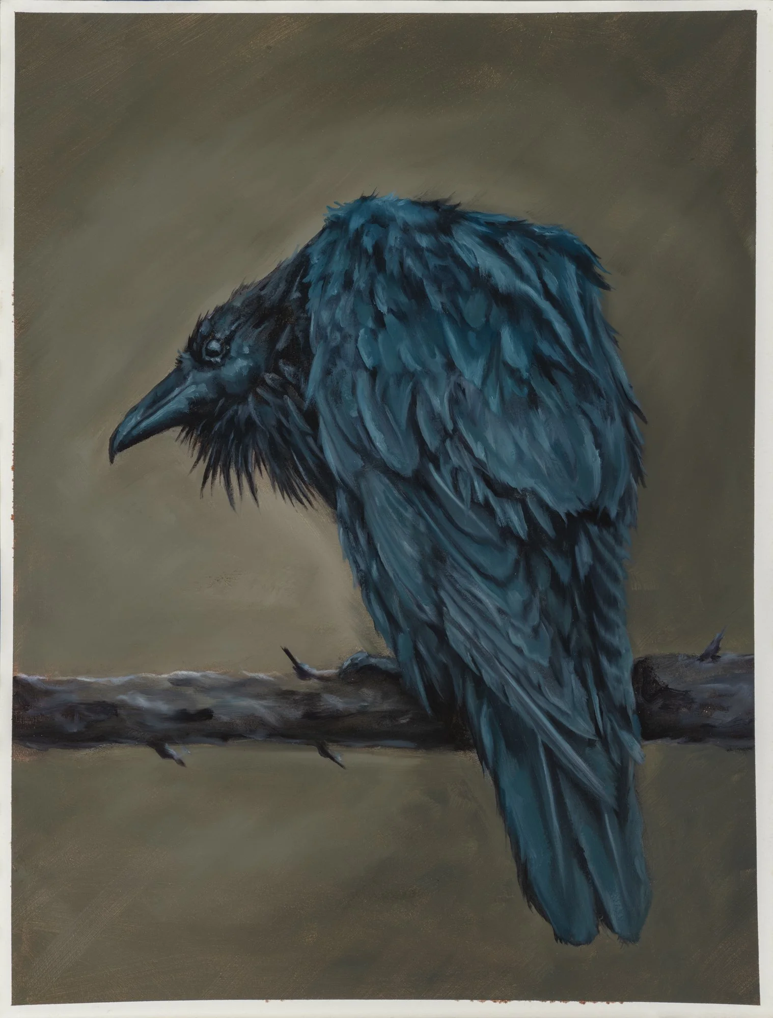 Raven