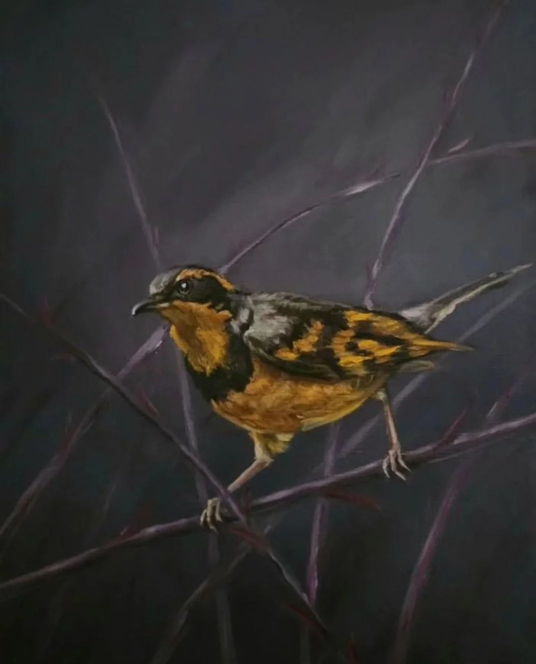 A detailed painting of a small bird with brown, black, and orange feathers perched on dark, thin branches against a dark background.