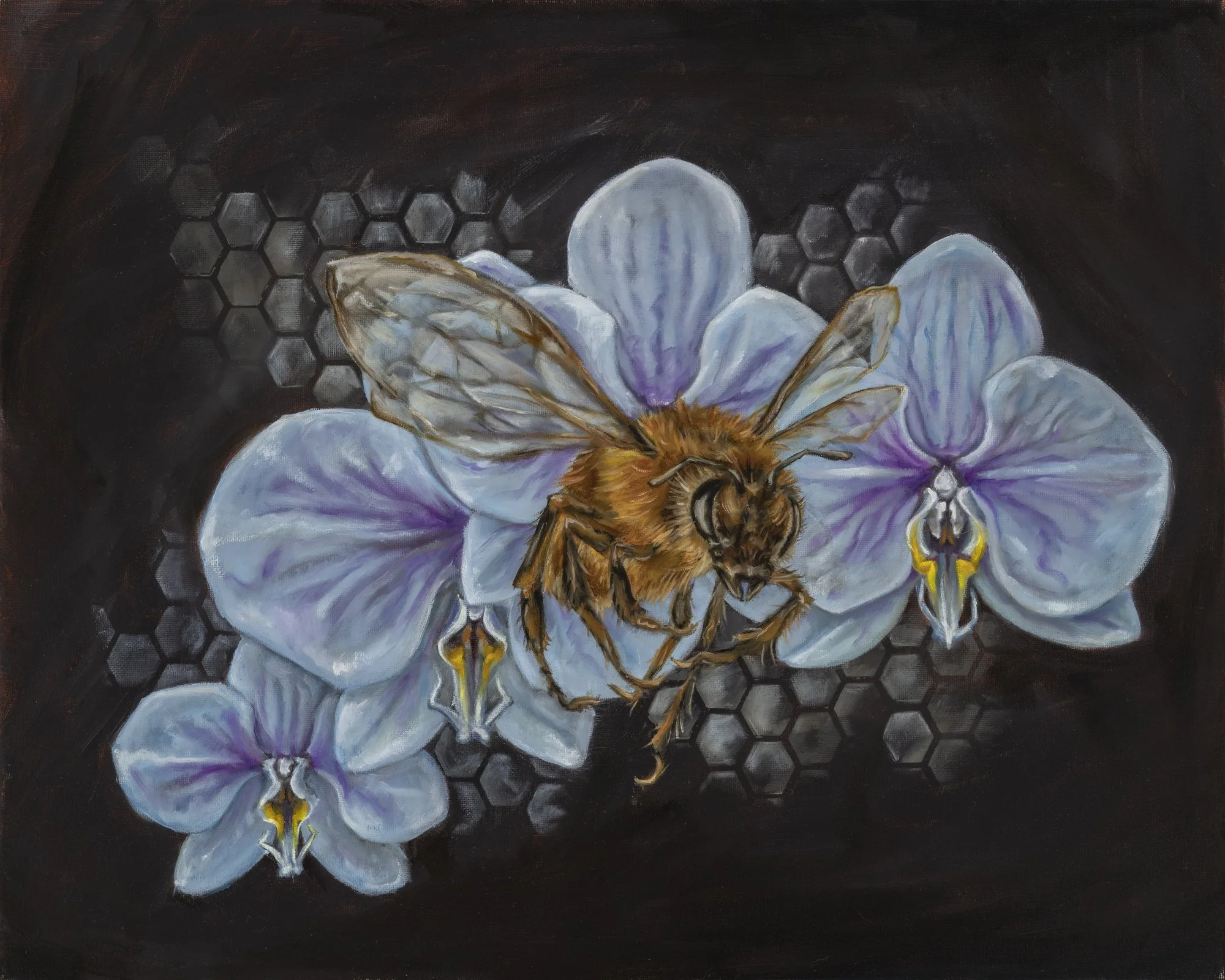 16x20 oil on canvas sold