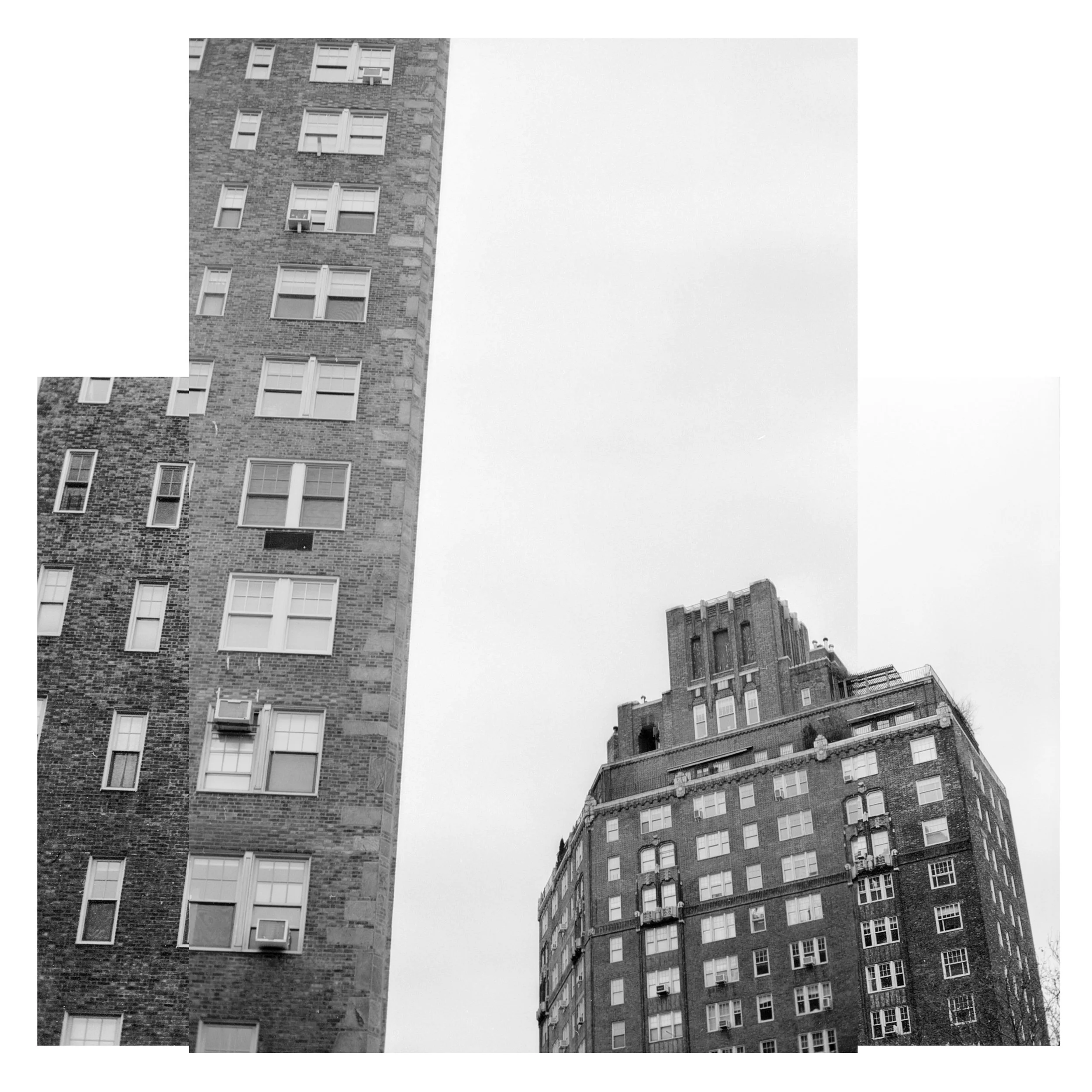 bw8.jpg