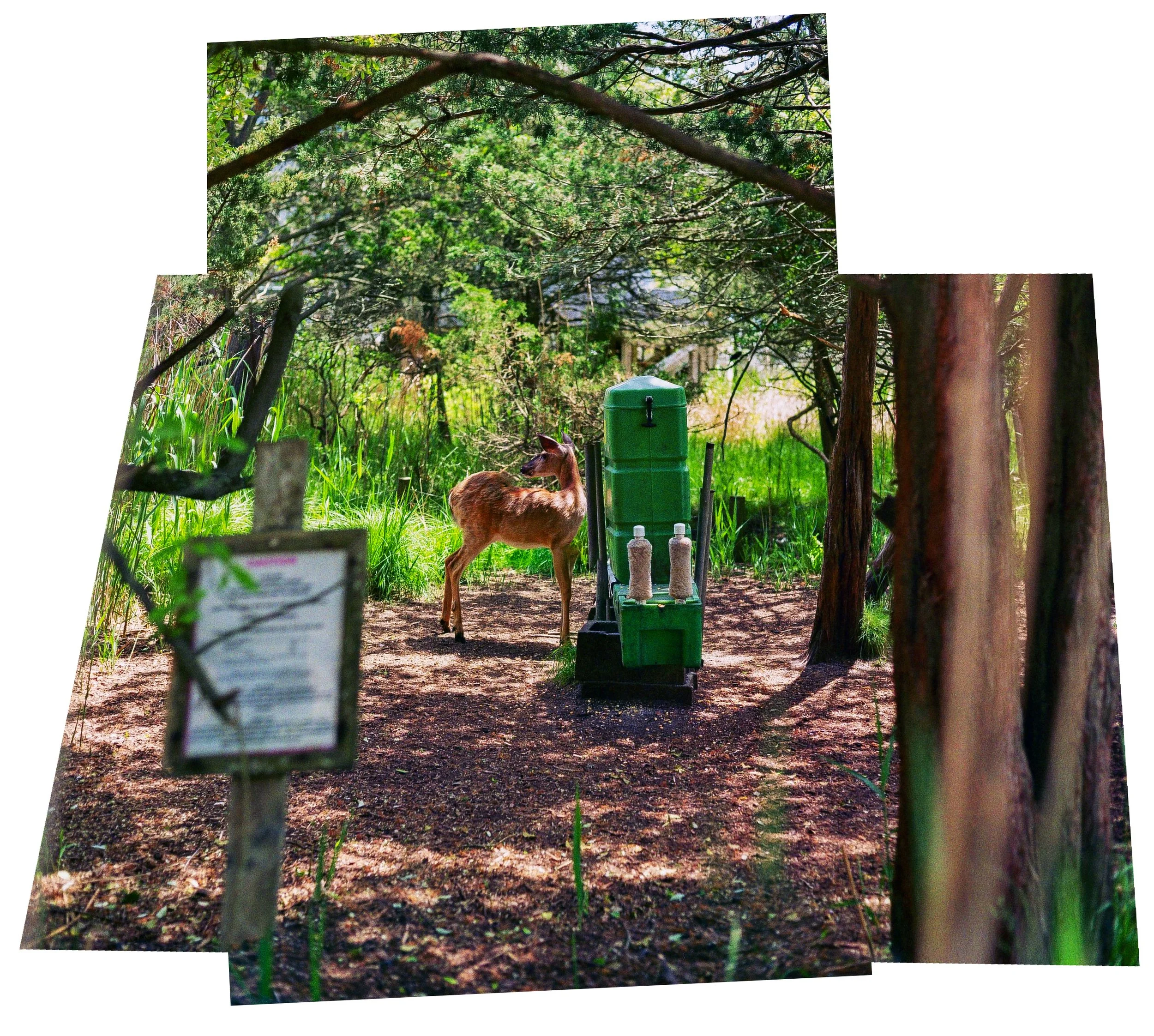 5787-1-11-Pano-Edit.jpg