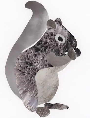 A gray squirrel collage