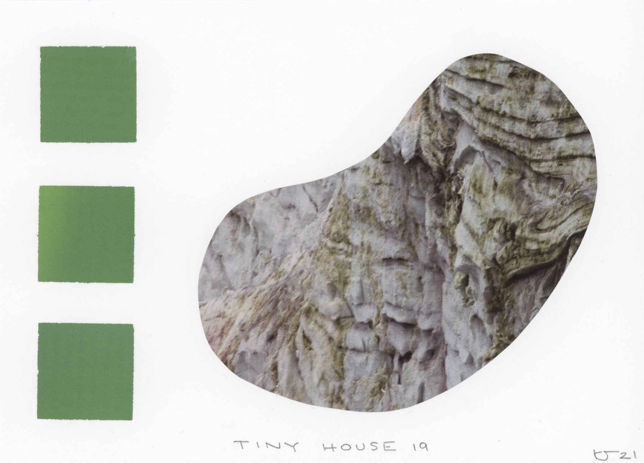 Tiny House 19