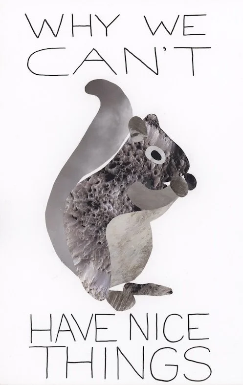 A collage of a gray squirrel, surrounded by handwritten text reading "WHY WE CAN'T HAVE NICE THINGS".
