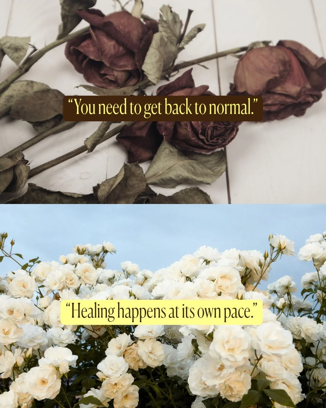 Which one hit home for you?

Comment SHELF for The Shelf Method, a gentle way to set your grief down for a moment without letting go of it or having to carry it all at once. 💛