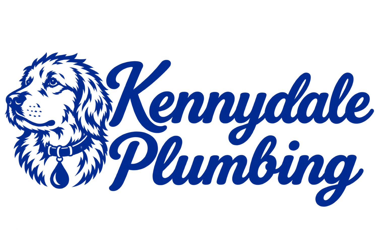 Kennydale Plumbing 