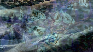 Screenshot 2026-06-25 202103.png