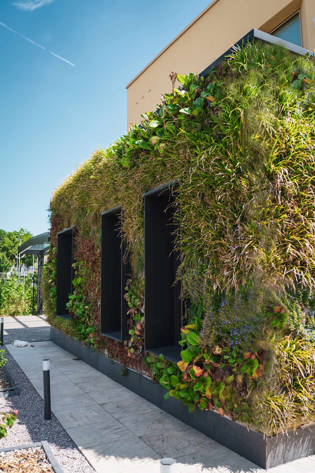 Garden path beside a modern villa with lush vertical greenery and beige walls