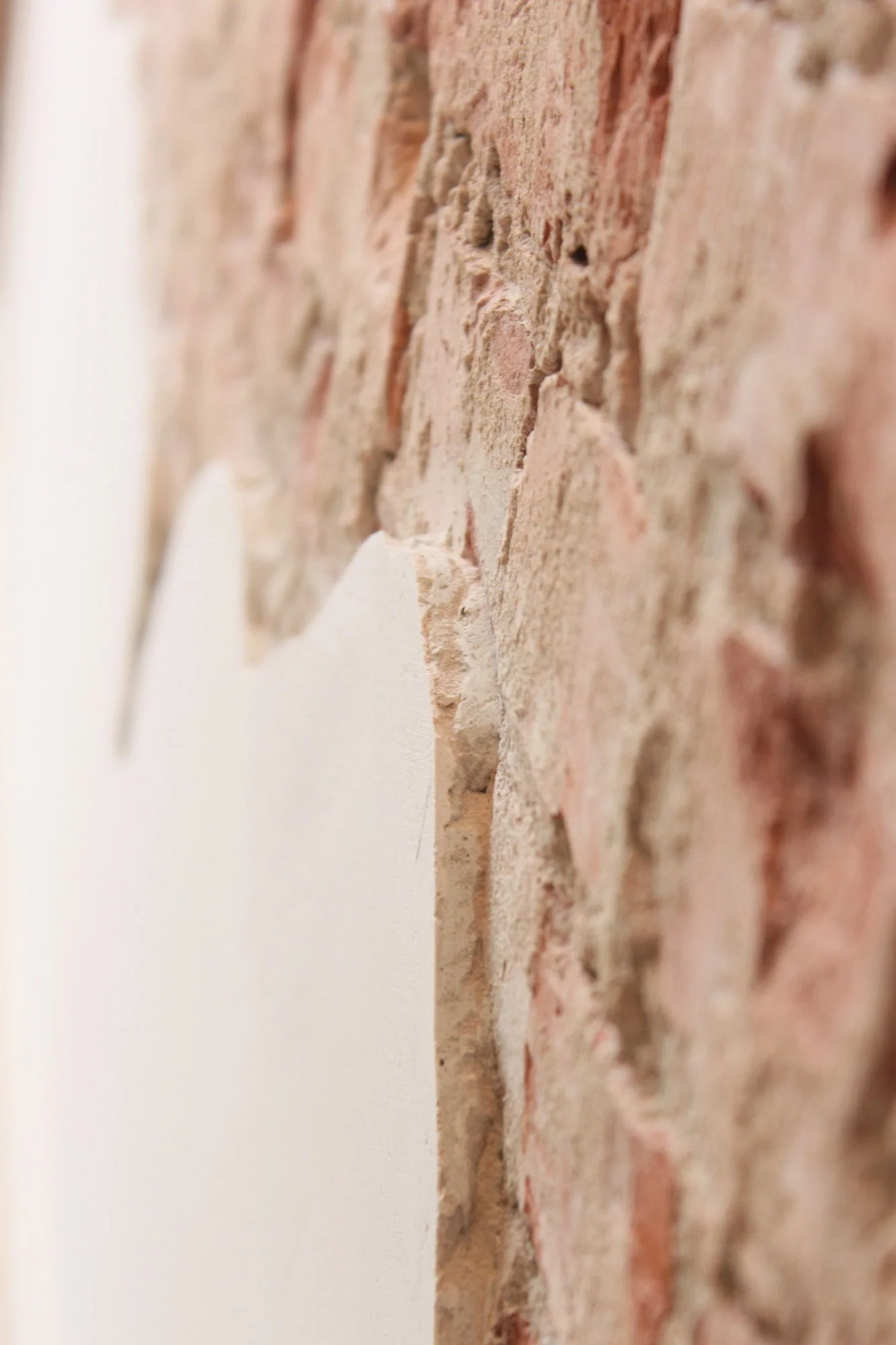 Close up of textured natural wall finish with warm earthy tones and subtle material depth
