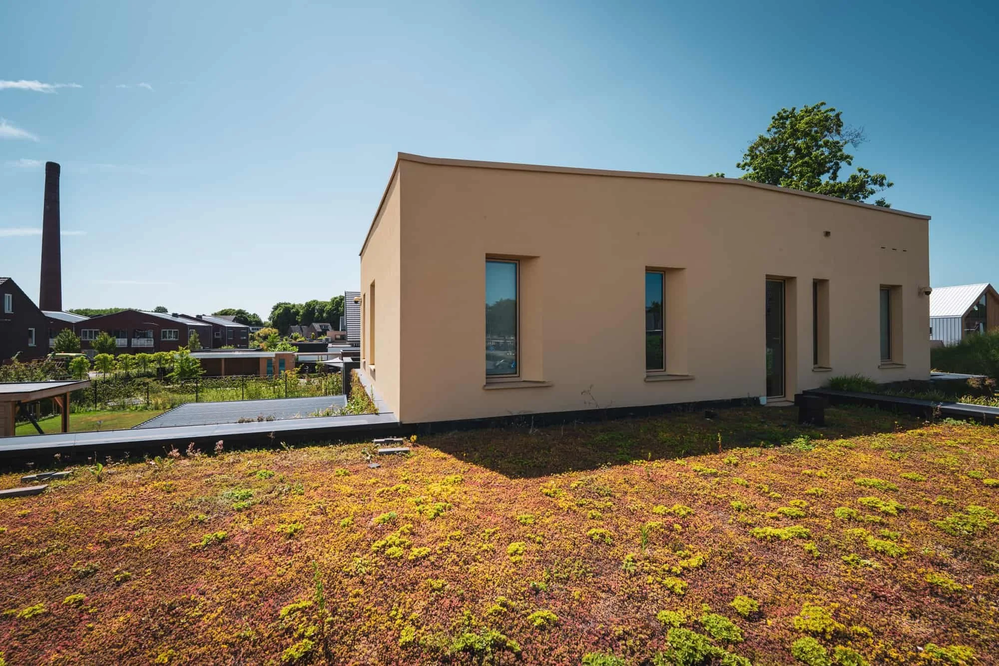 Minimal beige villa with green roof garden and warm natural exterior materials
