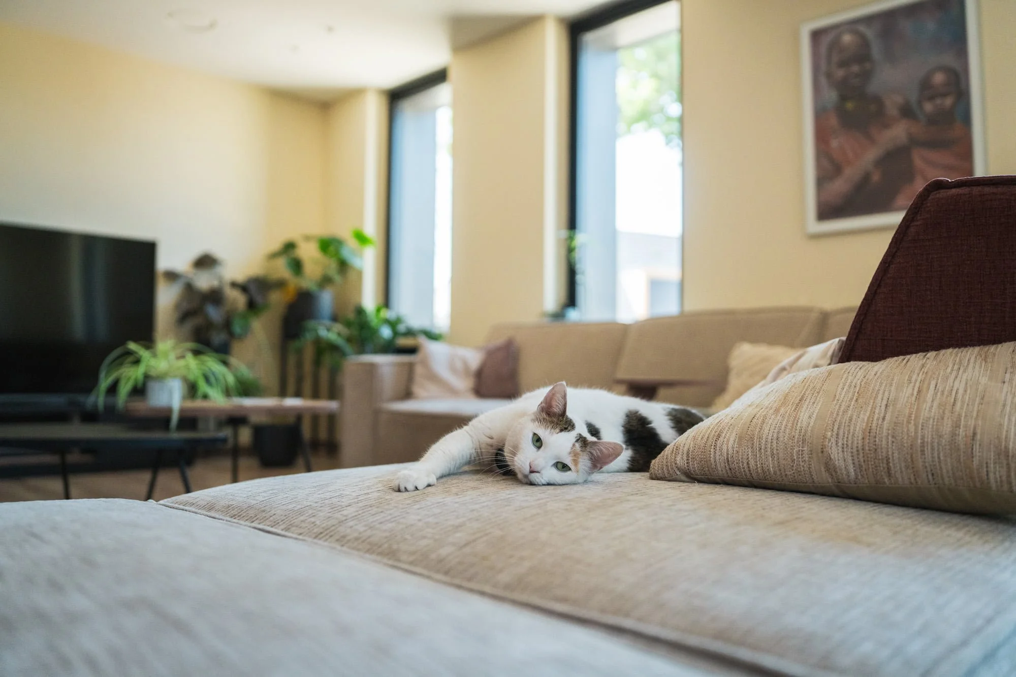 Calm bedroom interior with neutral bedding, indoor plants and soft natural daylight