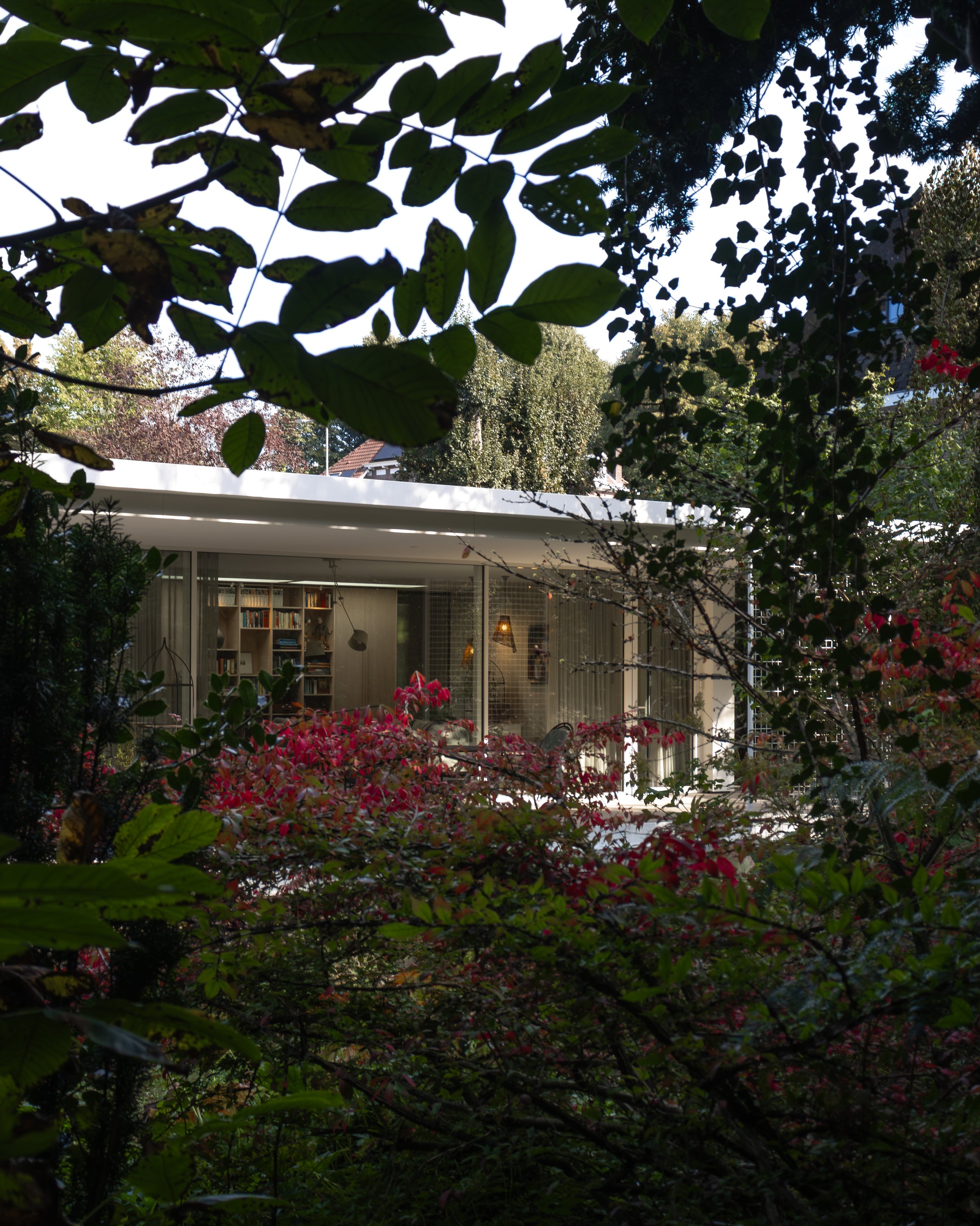 THE LIFETIME HOUSE