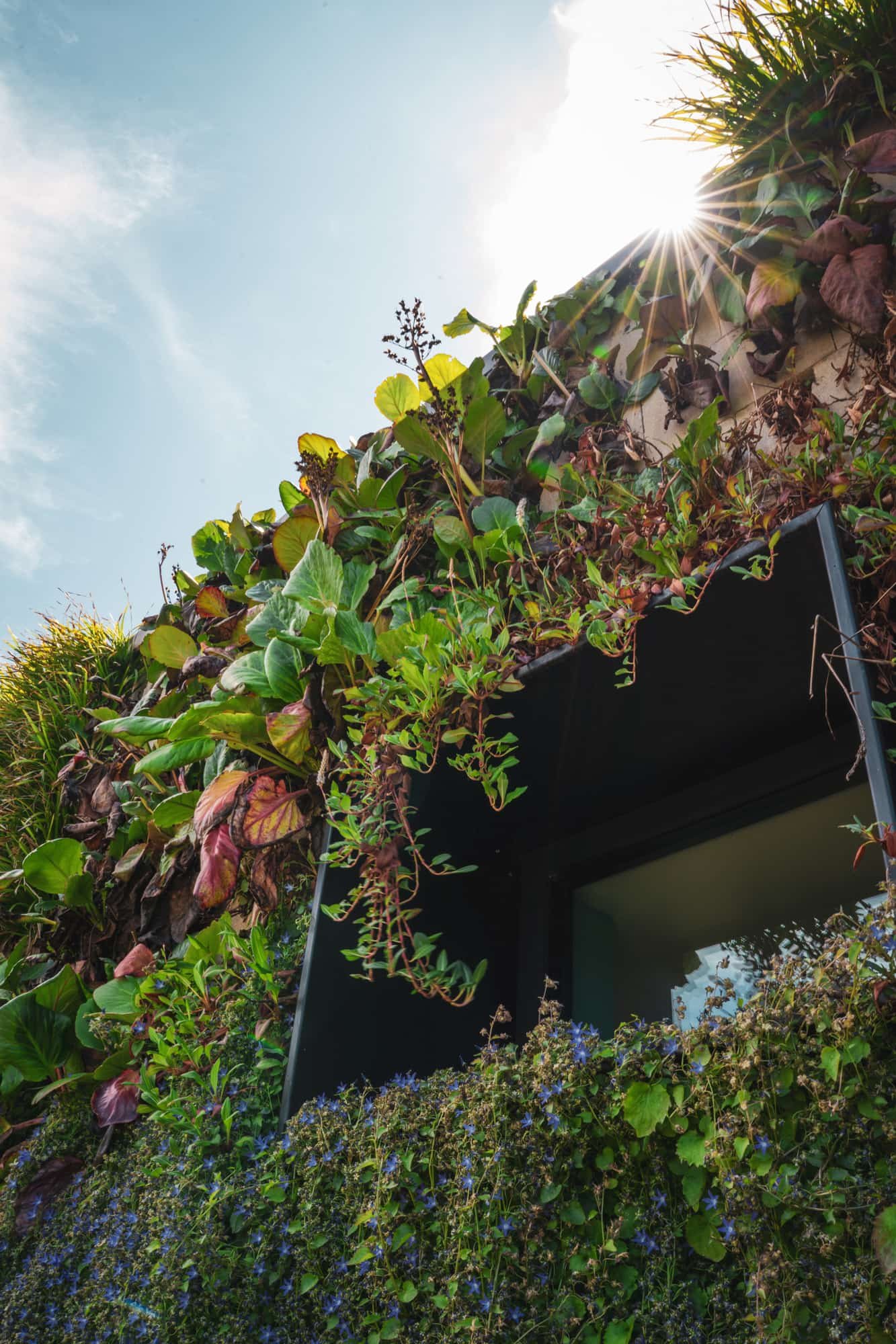 THE GREEN FACADE HOUSE