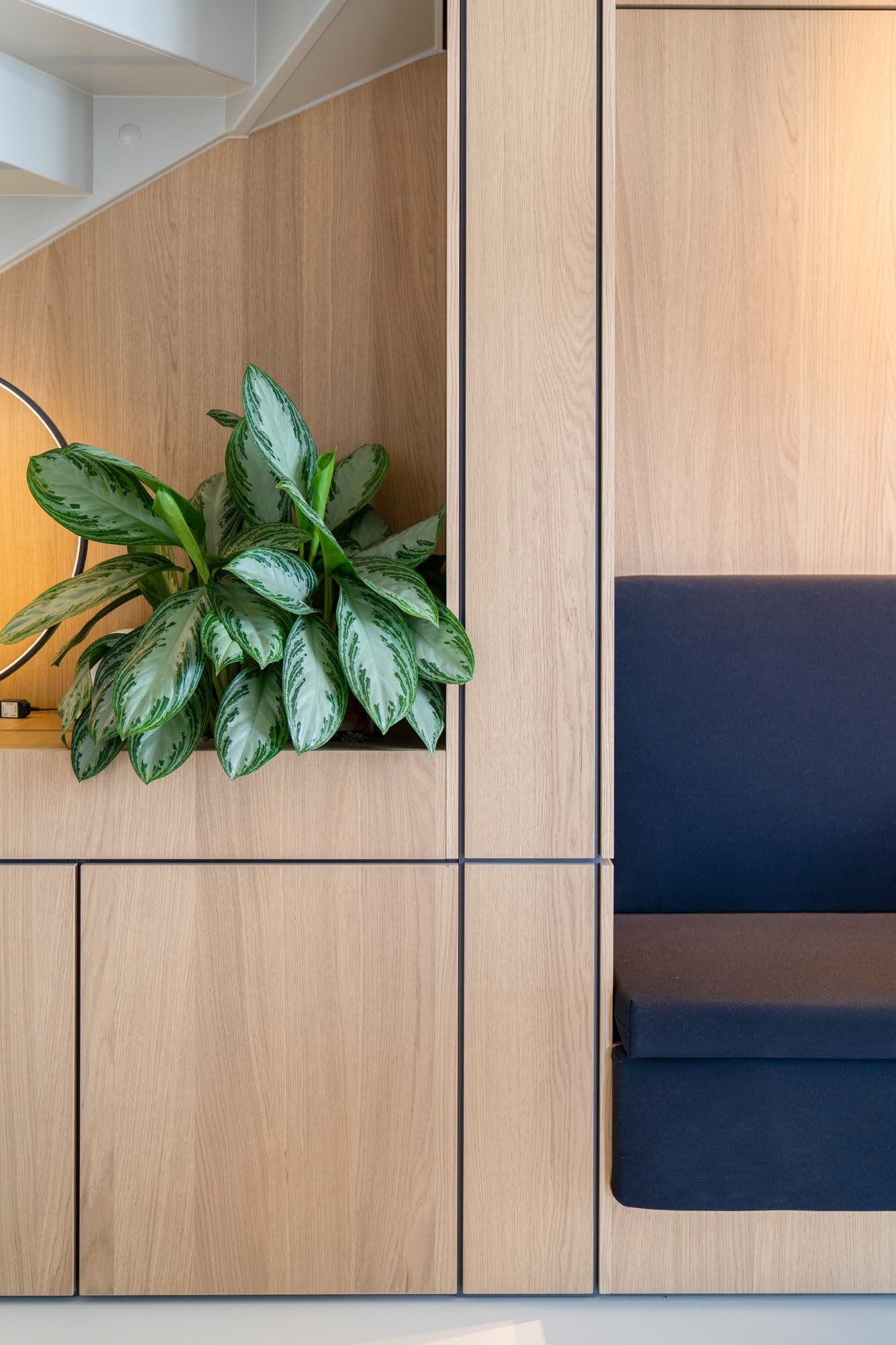 Close up of oak wall panelling with dark blue bench seating and indoor greenery