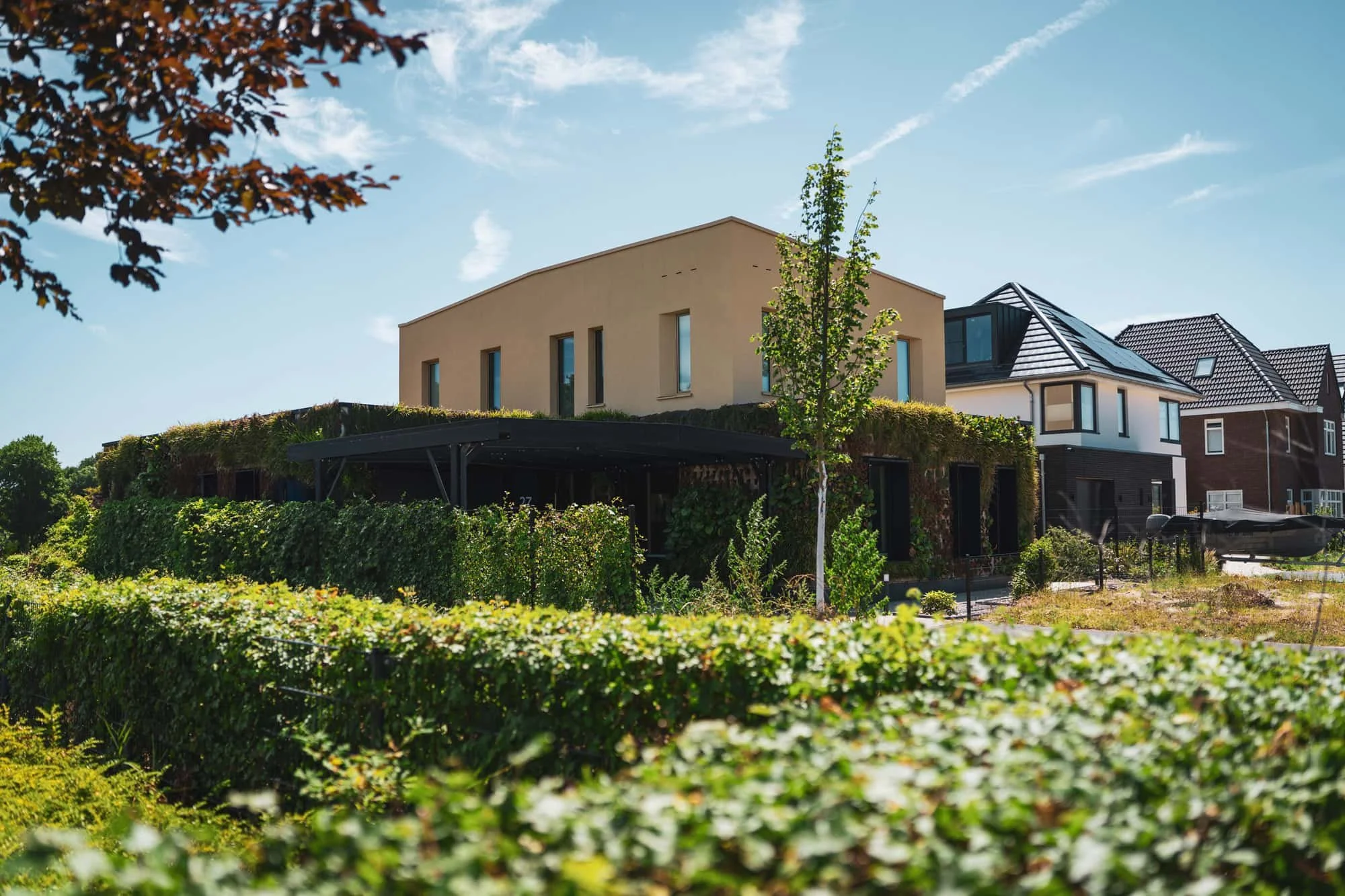 Modern villa with green roof planting, beige facade and clear blue sky