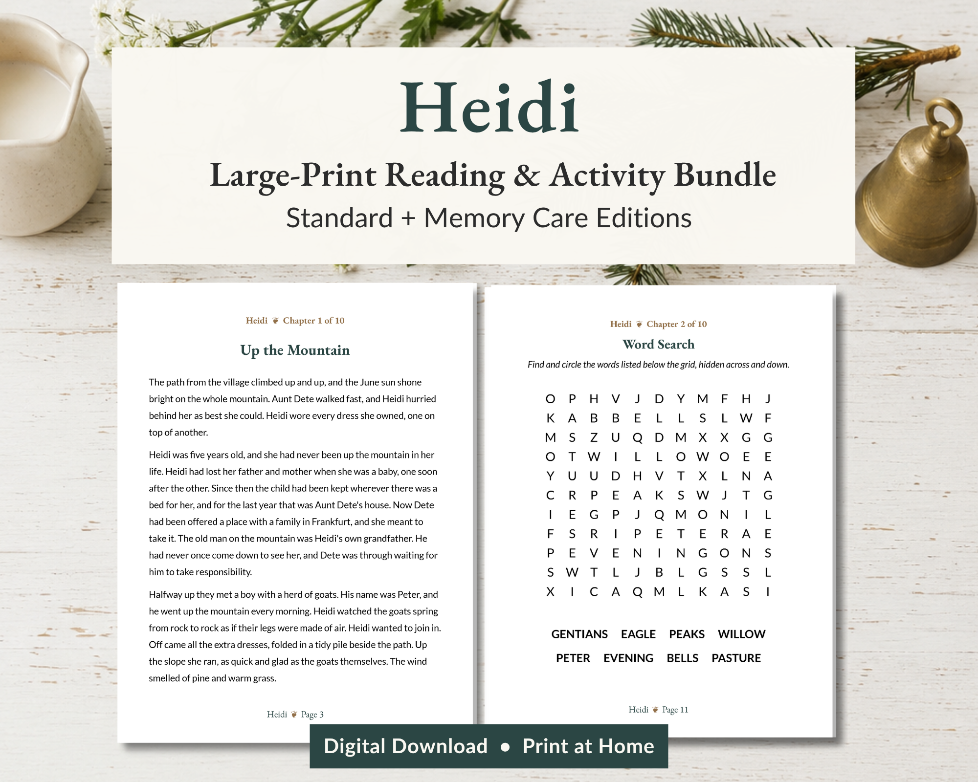 Heidi  |  Reading & Activity Bundle