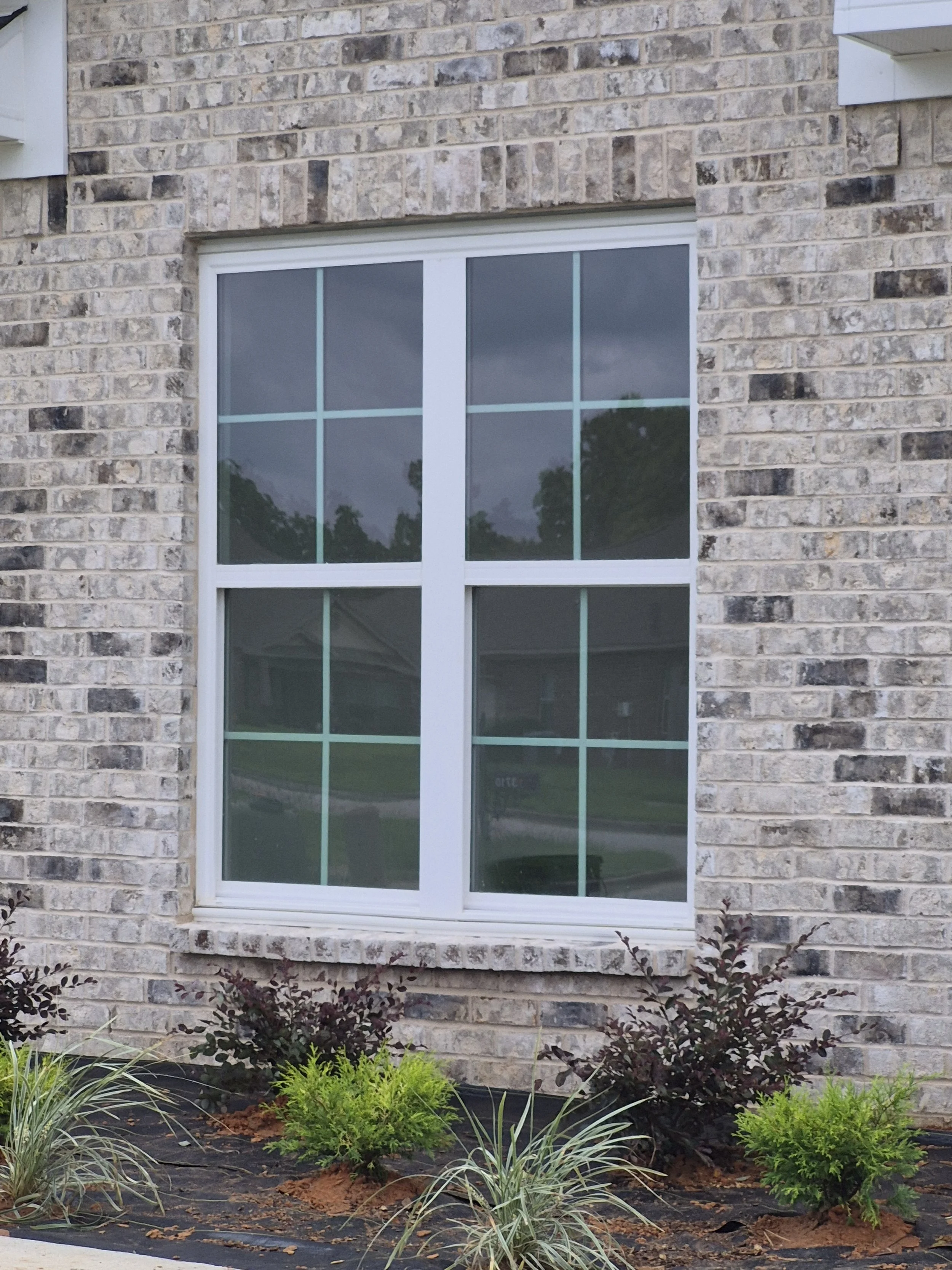A white-framed window set into a brick wall with a garden bed below, containing small plants and shrubs.