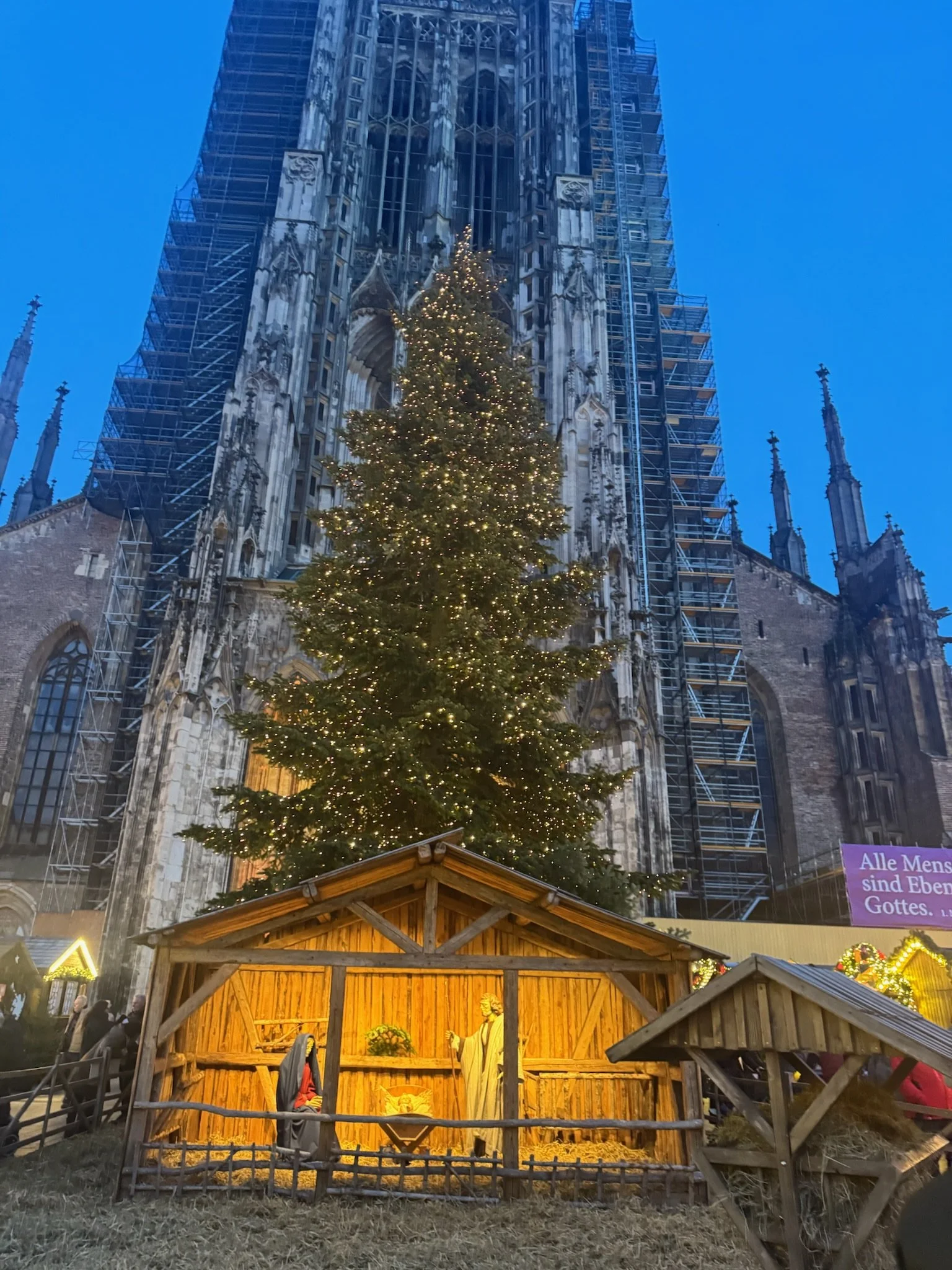 A tall Christmas tree strung with lights stands in front of a Gothic cathedral covered in scaffolding, with a lit wooden nativity stable in the foreground at dusk.