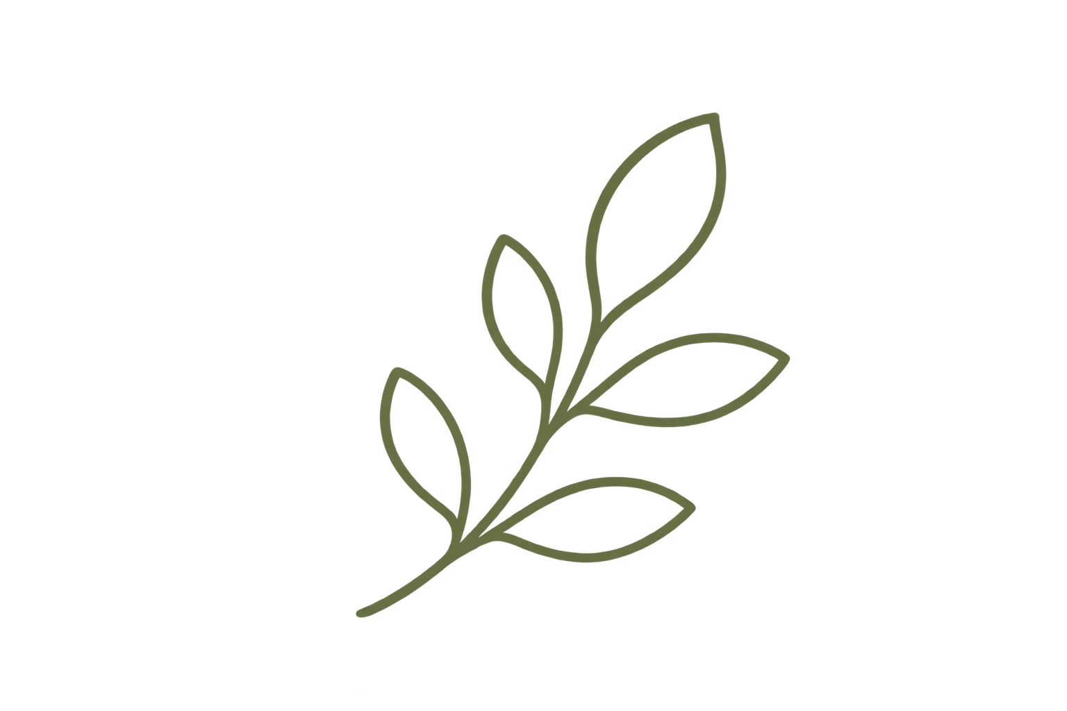 A green plant with multiple leaves on a black background.