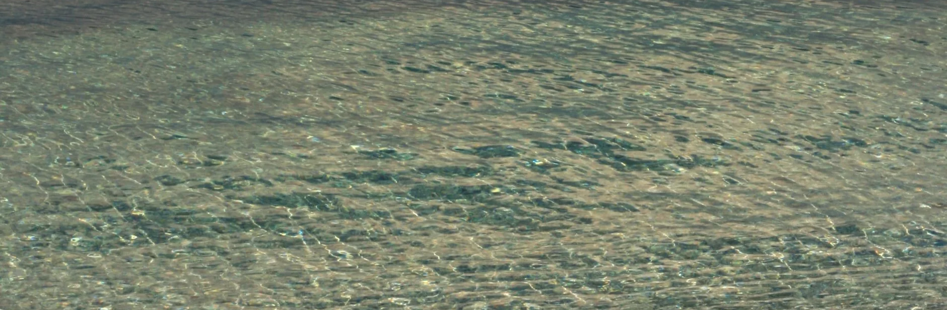 A clear body of water with sunlight reflecting on the surface, creating shimmering effects.