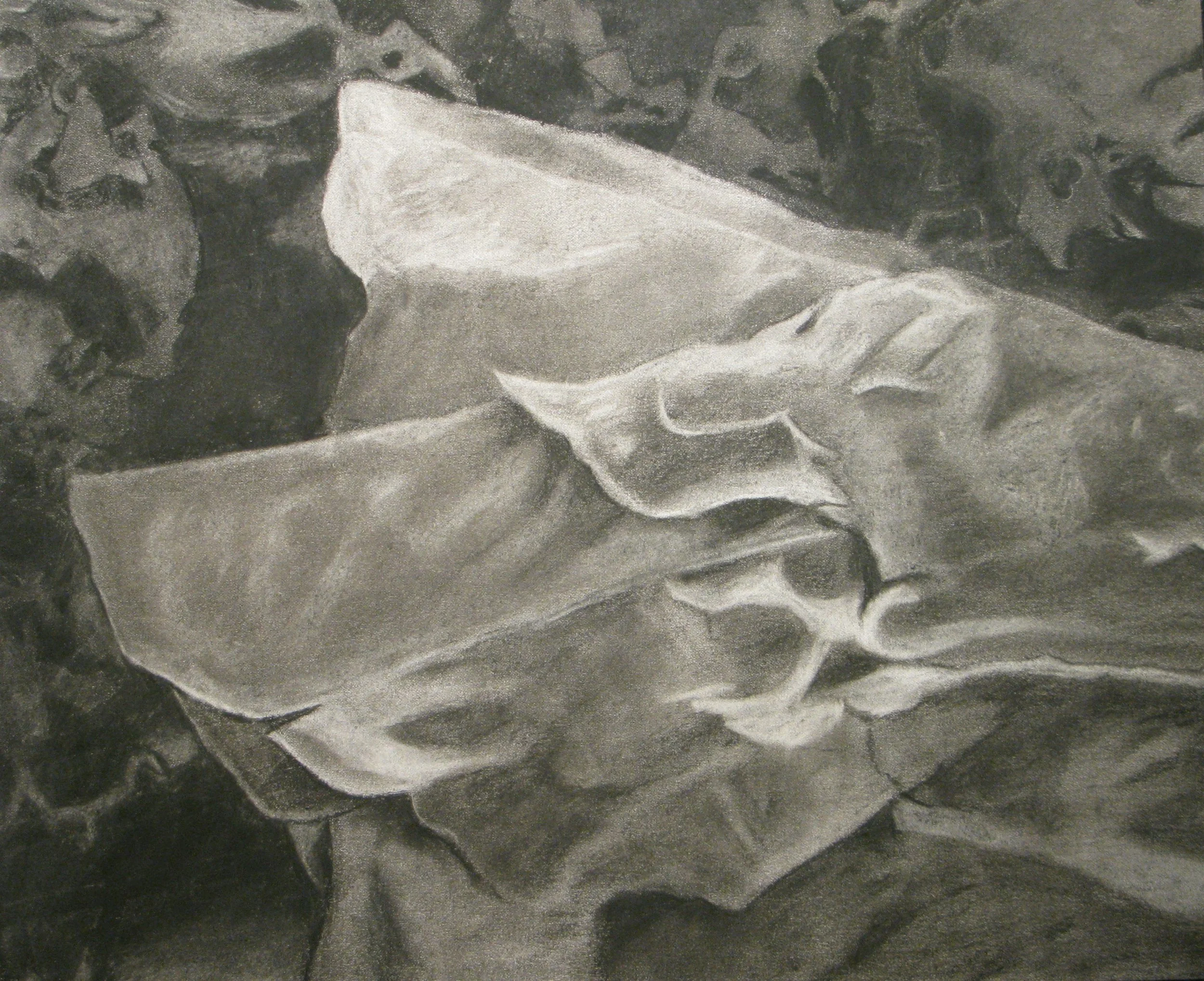 Romaine, 2007 / Charcoal on paper
