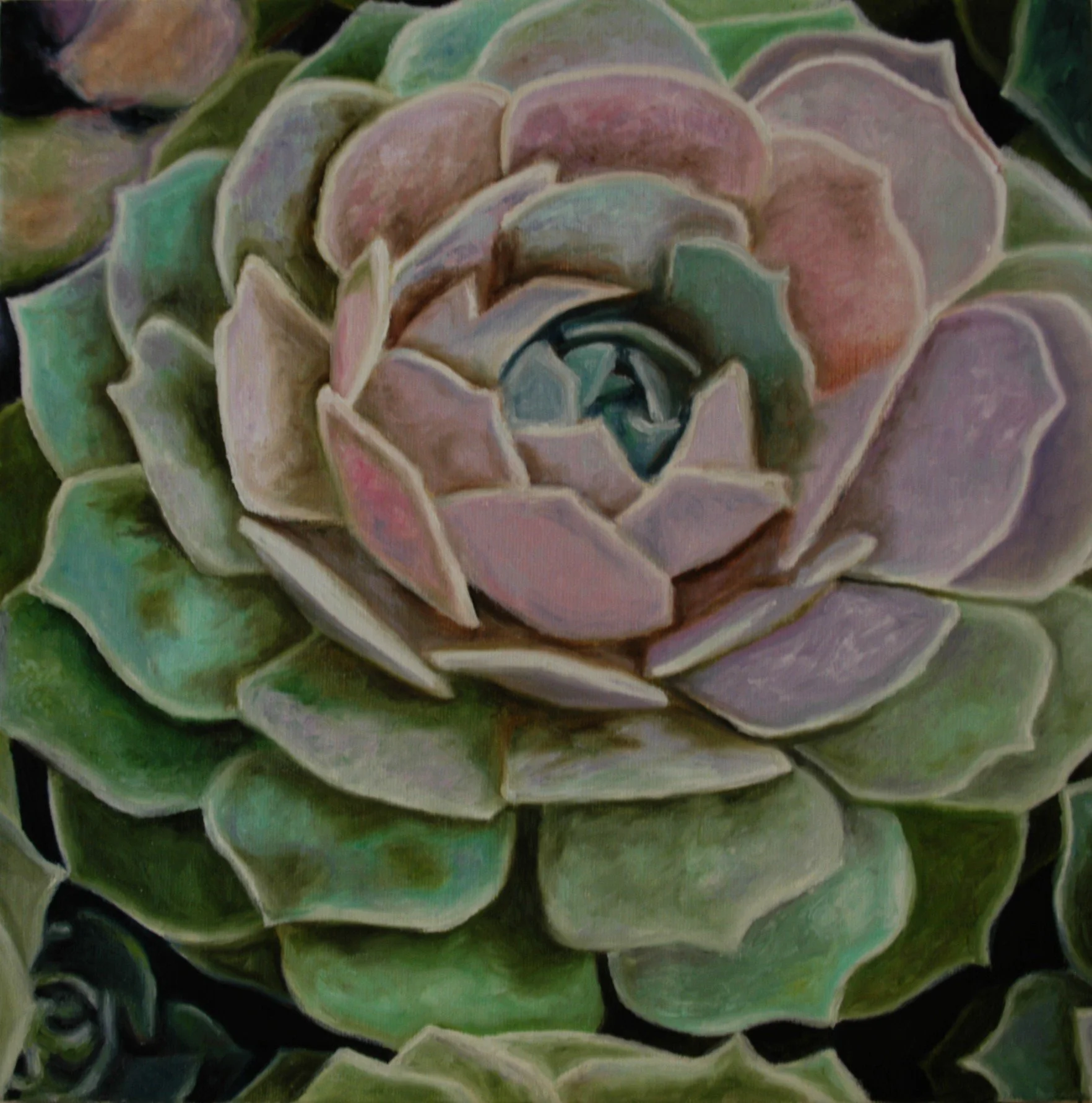 Succulent, 2006 / Oil on canvas / 12 x 12 in.