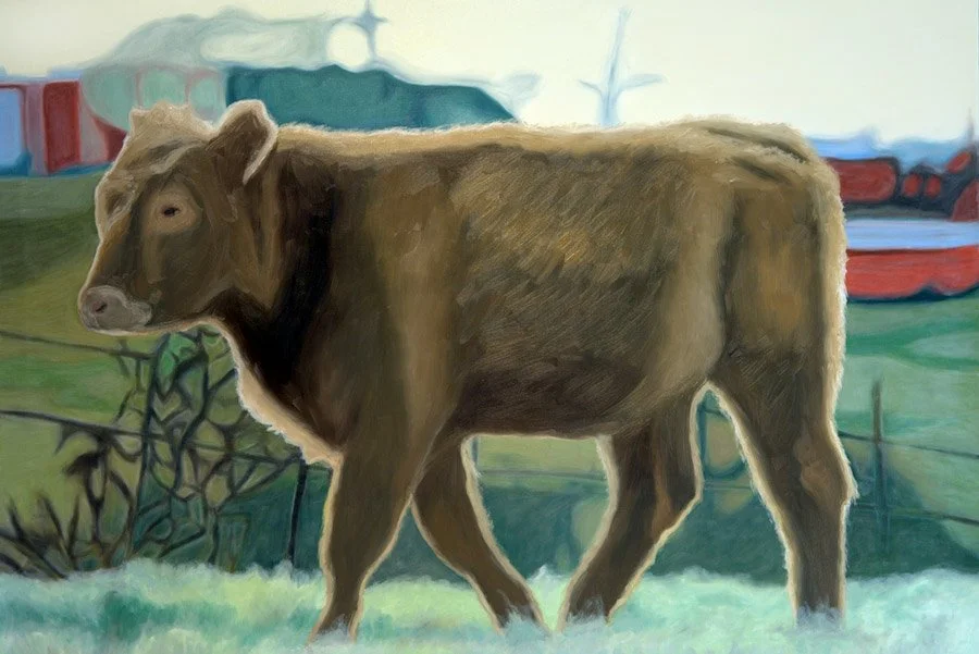 South Creek Ranch Cows #2, 2005 / Oil on canvas