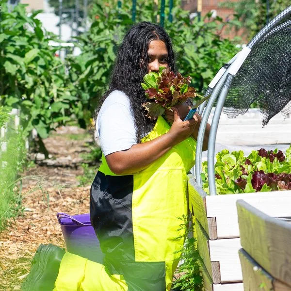 Female gardener harvesting crops