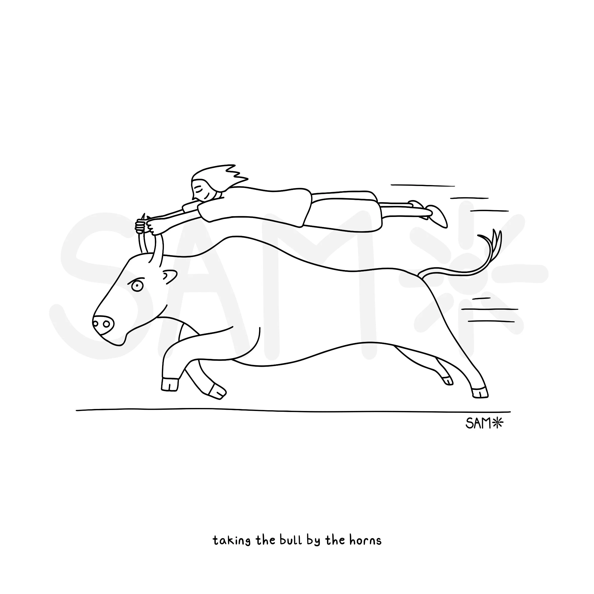 taking the bull by the horns