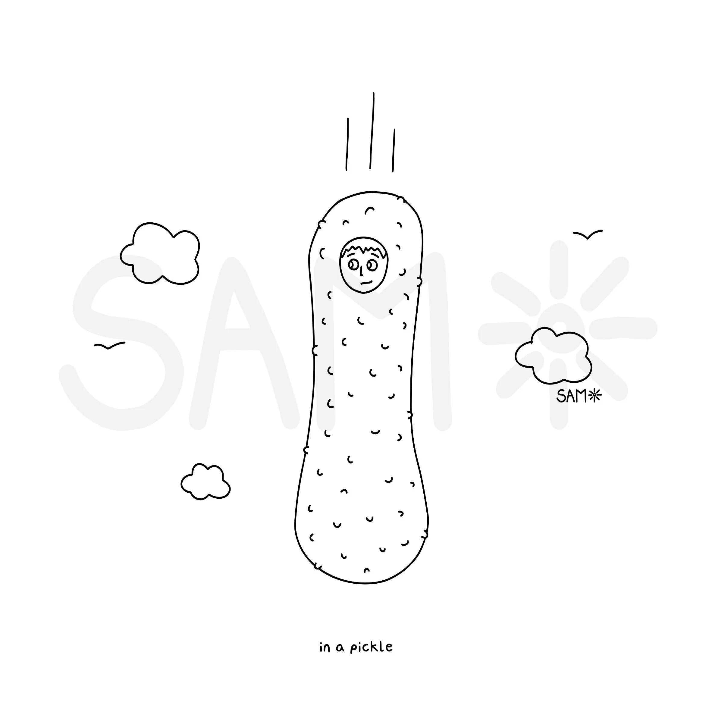 in a pickle